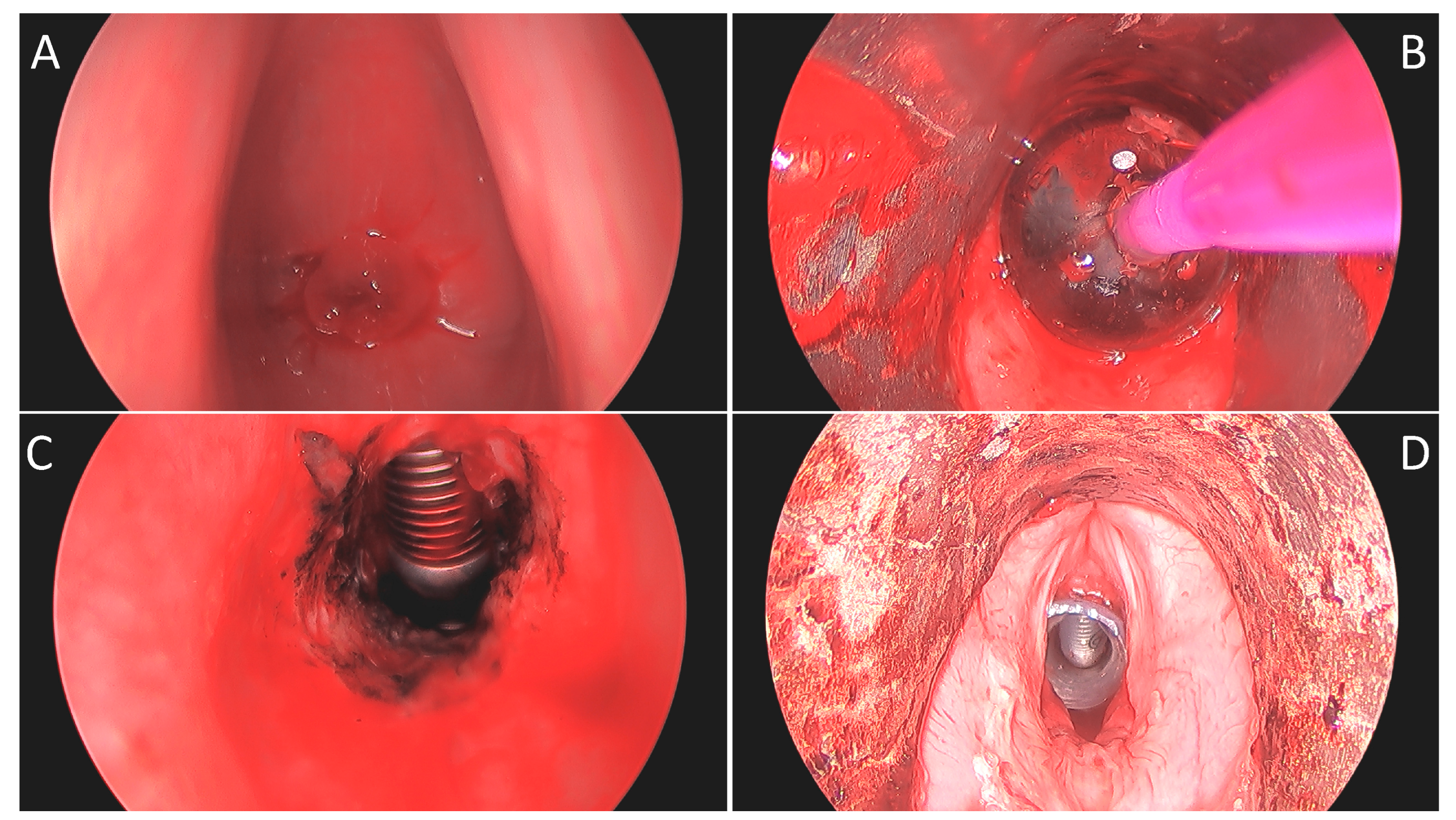 Life 13 00740 g001 Life 13 00740 g001