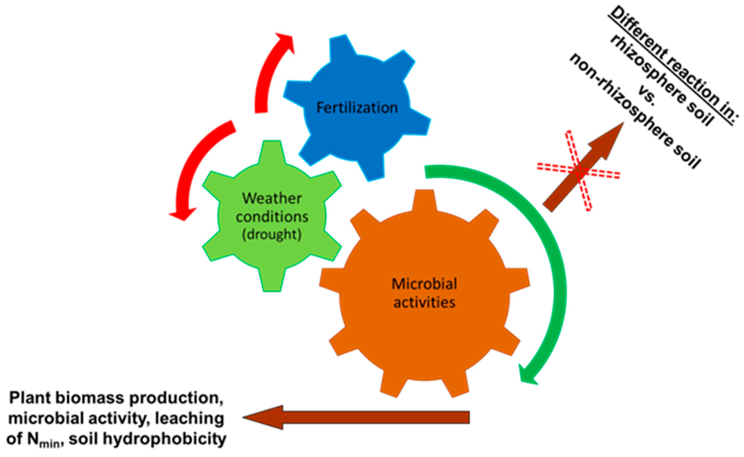 Life 13 00745 g007 Life 13 00745 g007
