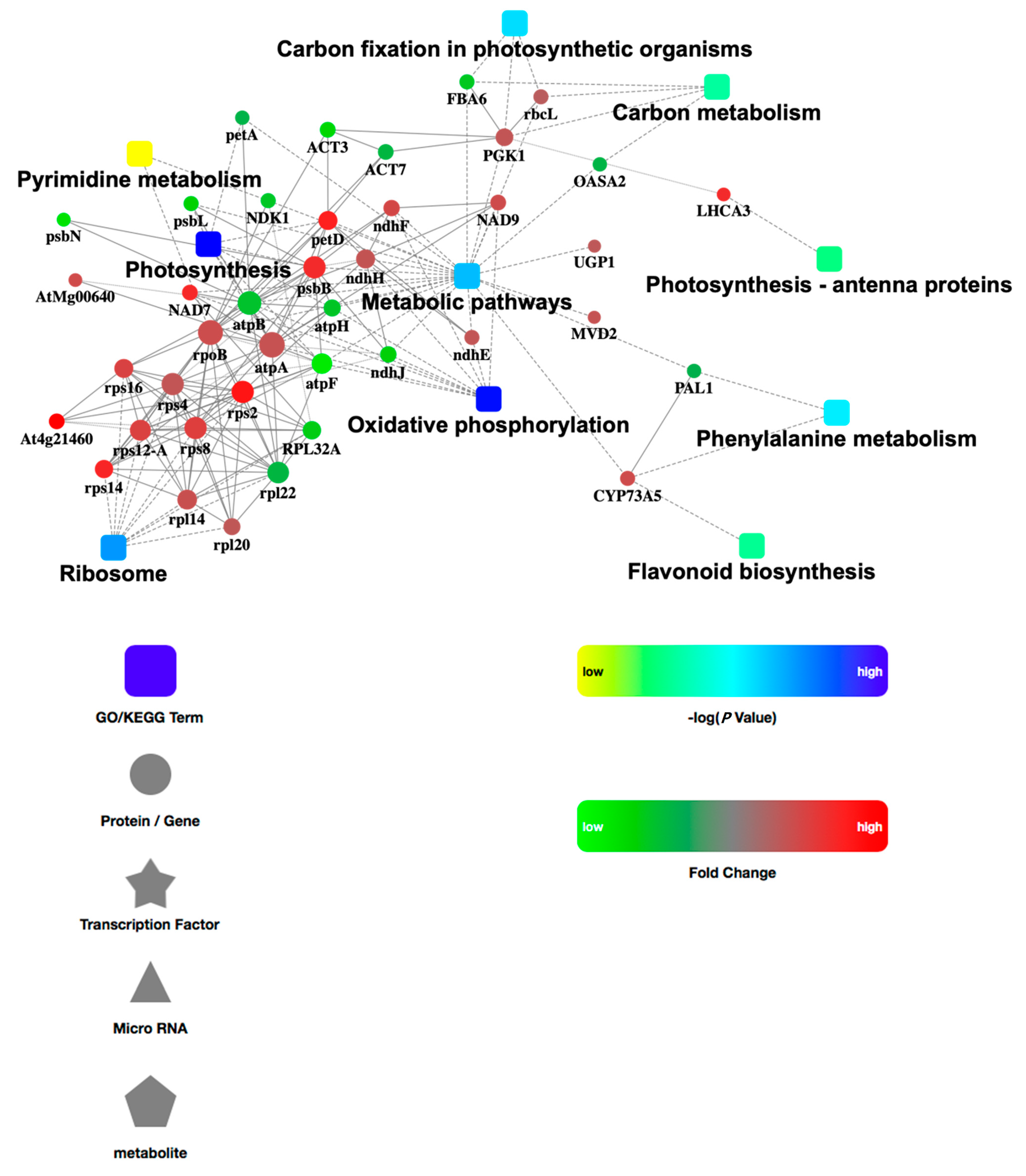 Life 13 00765 g004 Life 13 00765 g004