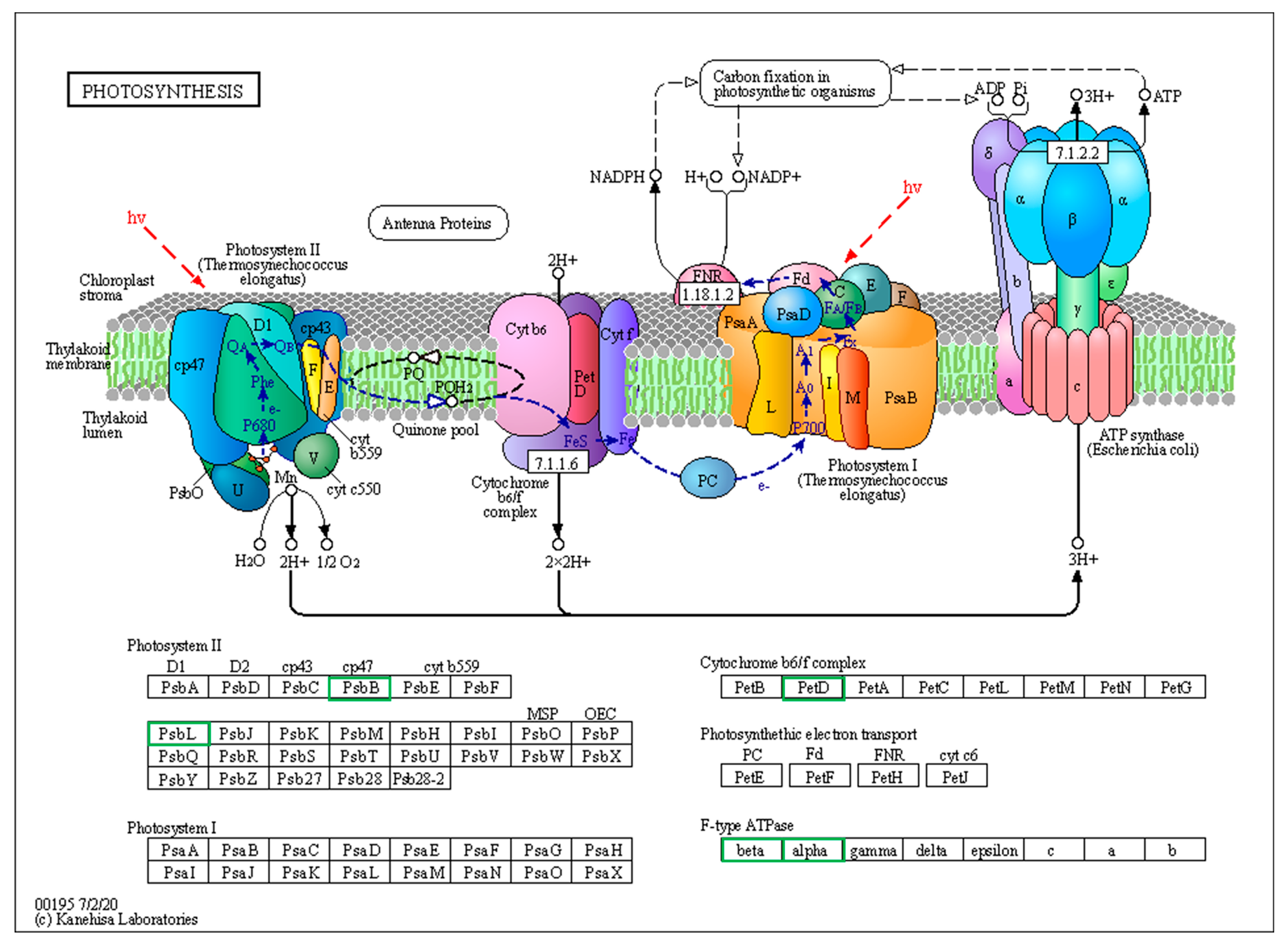 Life 13 00765 g006 Life 13 00765 g006