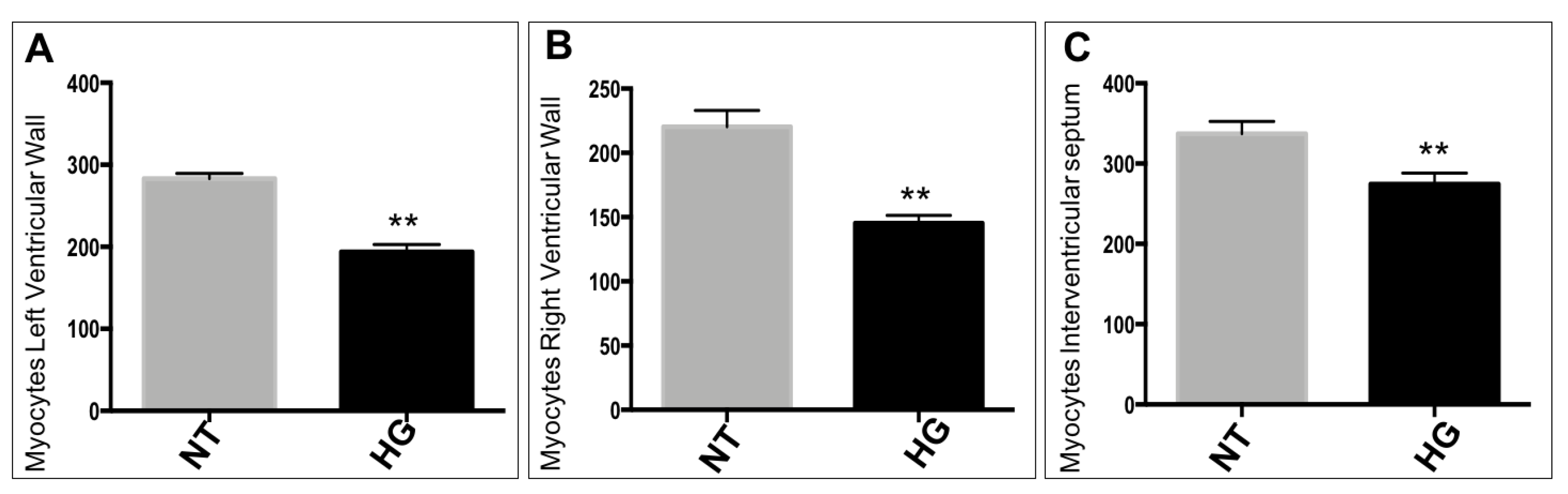 Life 13 00768 sch002