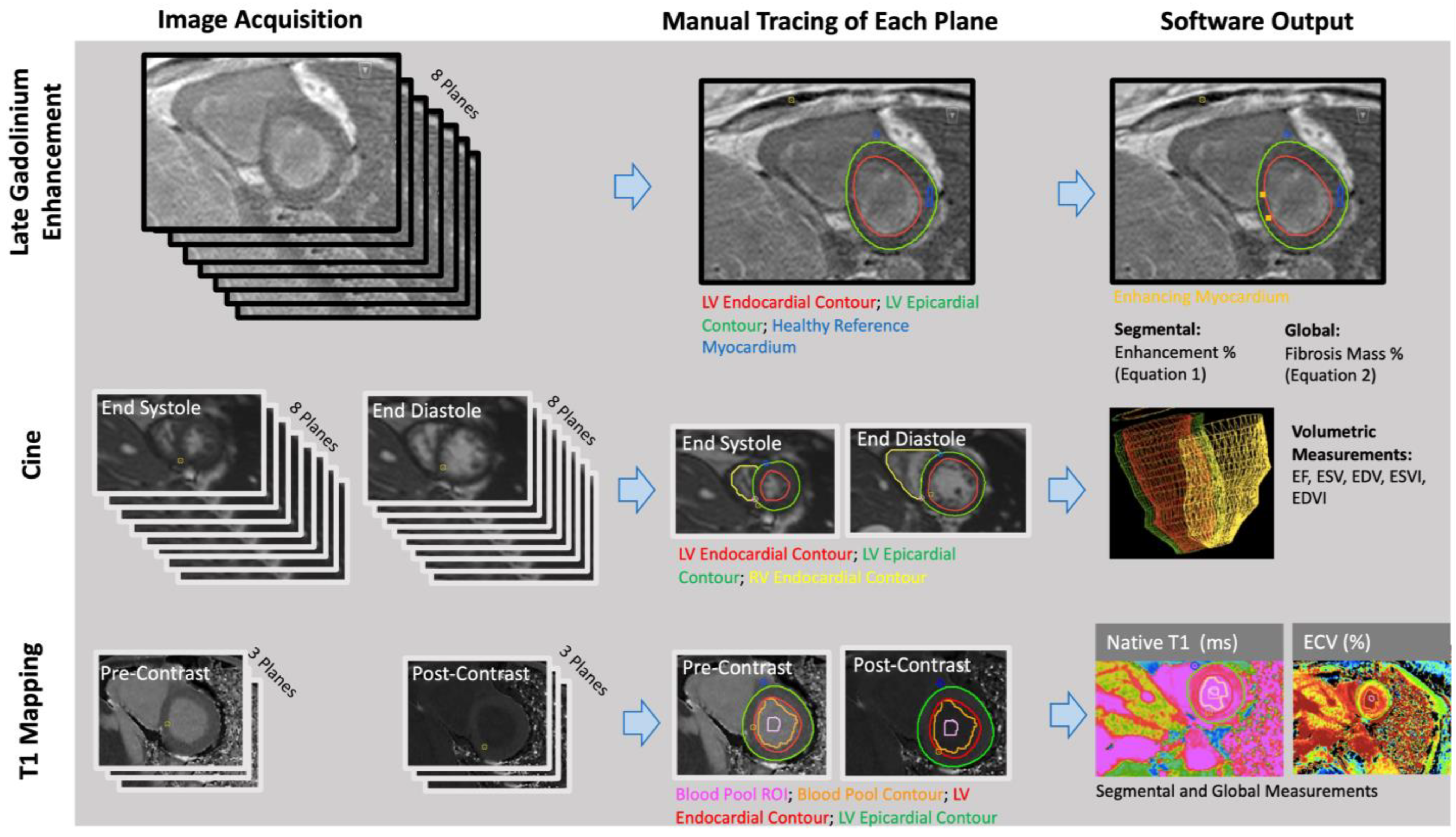 Life 13 00775 g001 Life 13 00775 g001