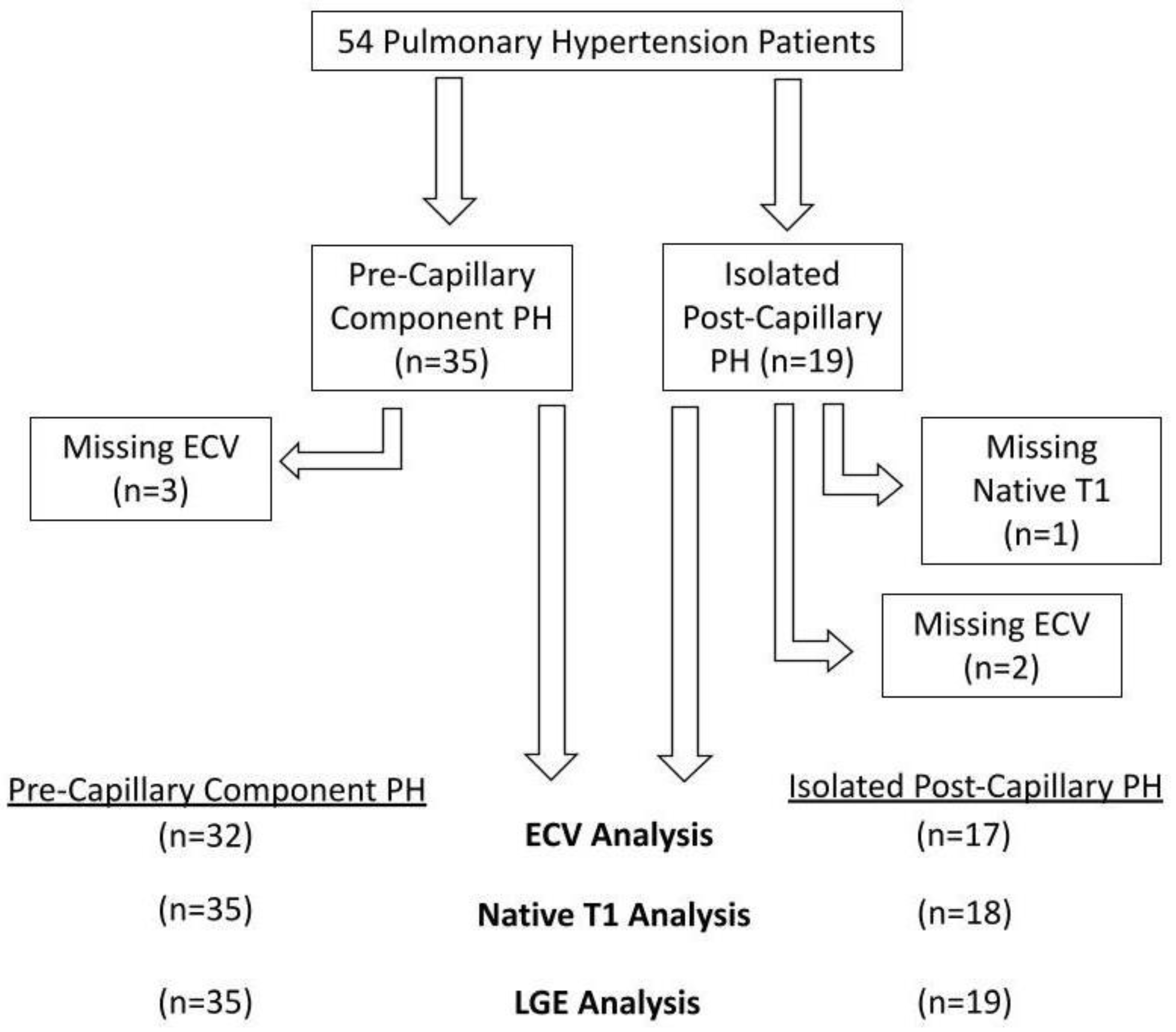 Life 13 00775 g002 Life 13 00775 g002