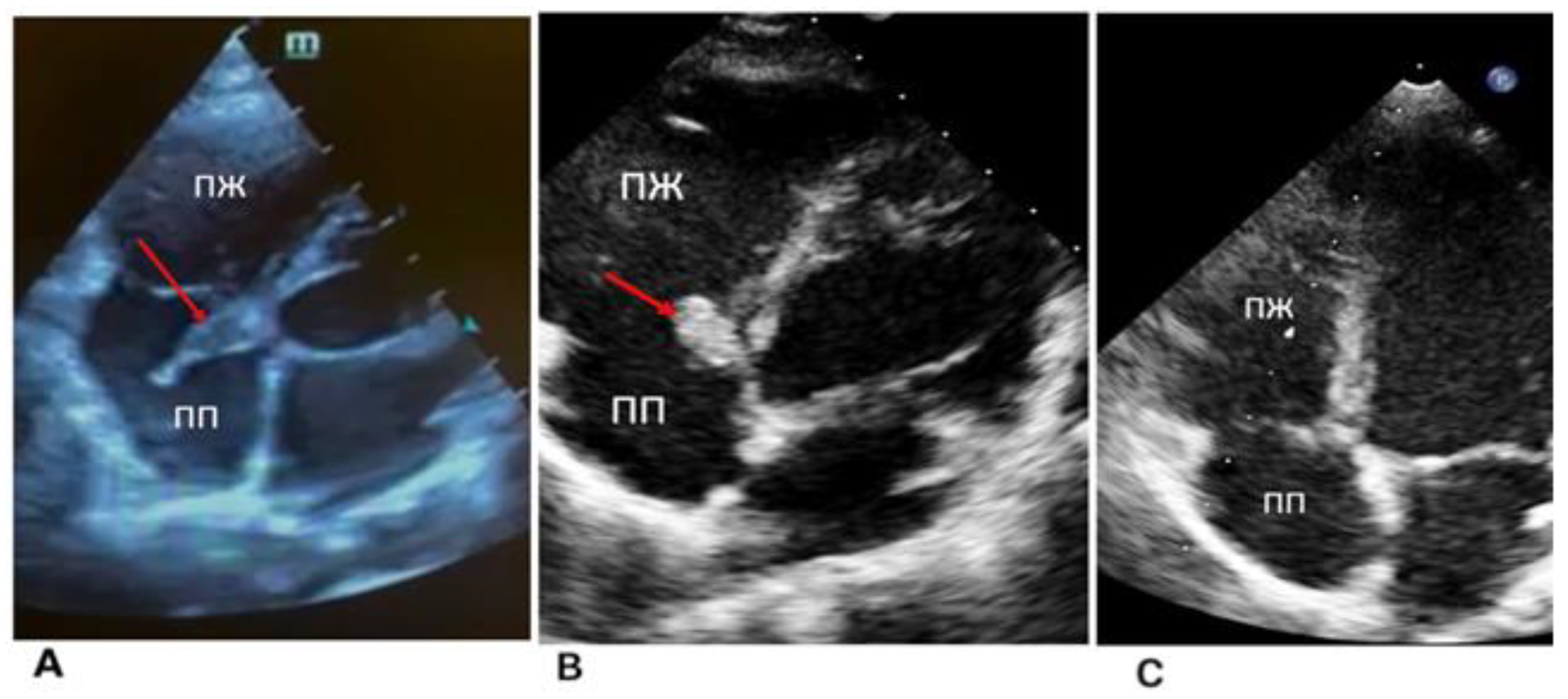 Life 13 00781 g001 Life 13 00781 g001
