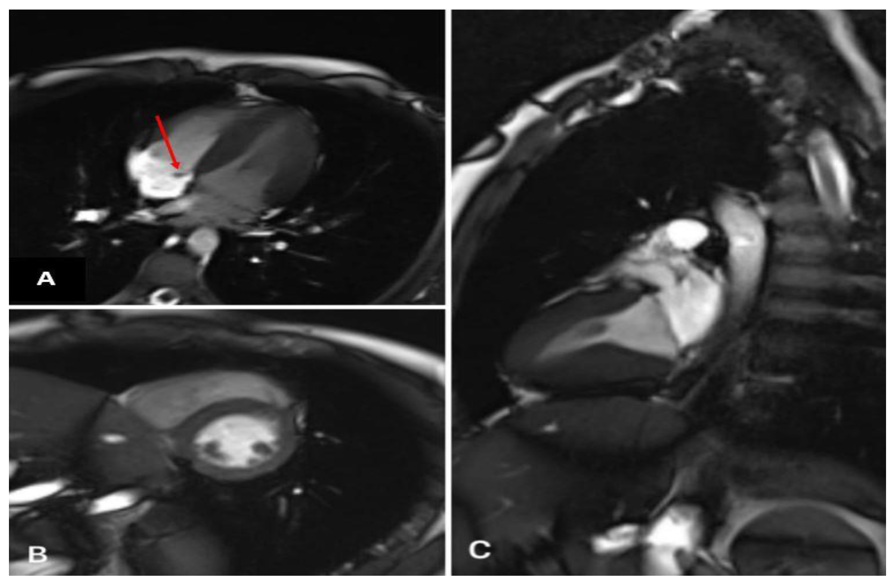 Life 13 00781 g002 Life 13 00781 g002