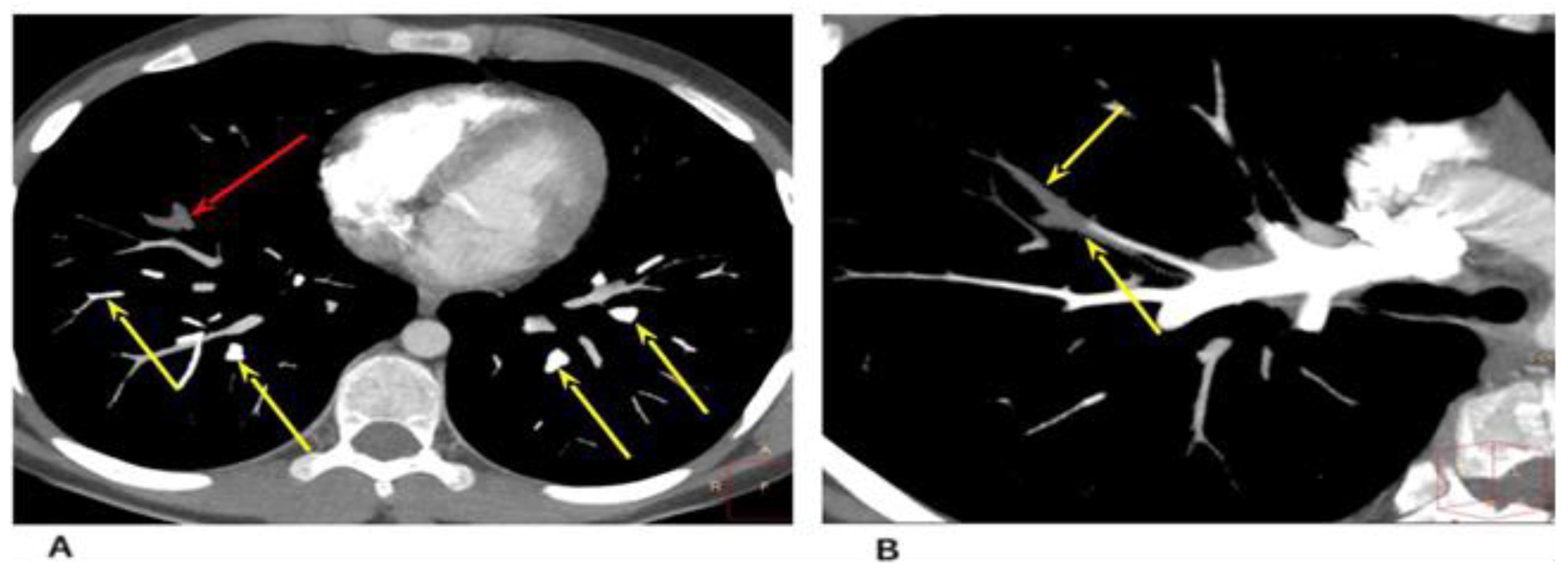 Life 13 00781 g003 Life 13 00781 g003