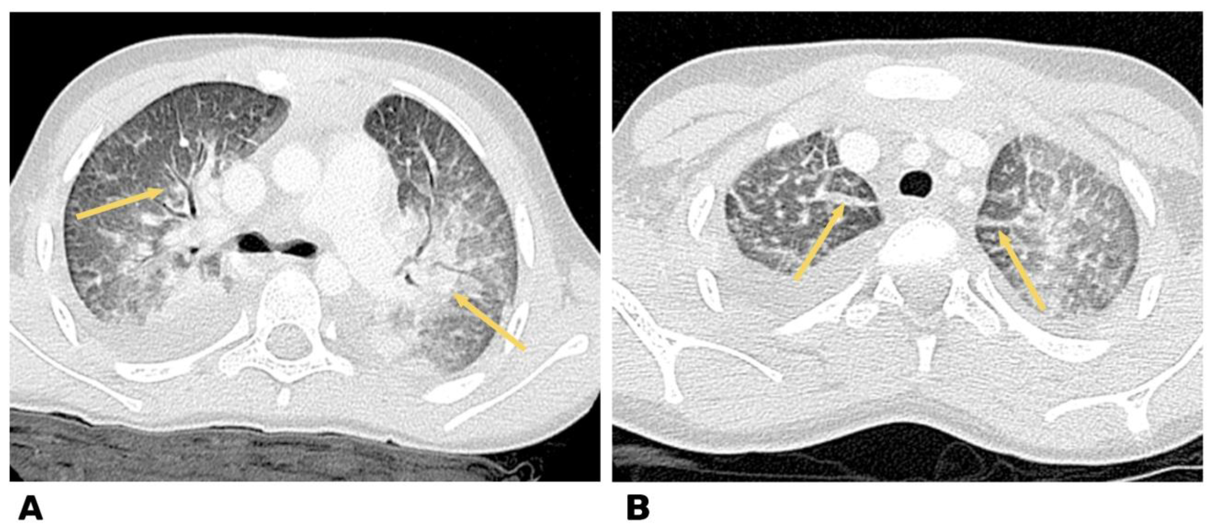 Life 13 00781 g004 Life 13 00781 g004