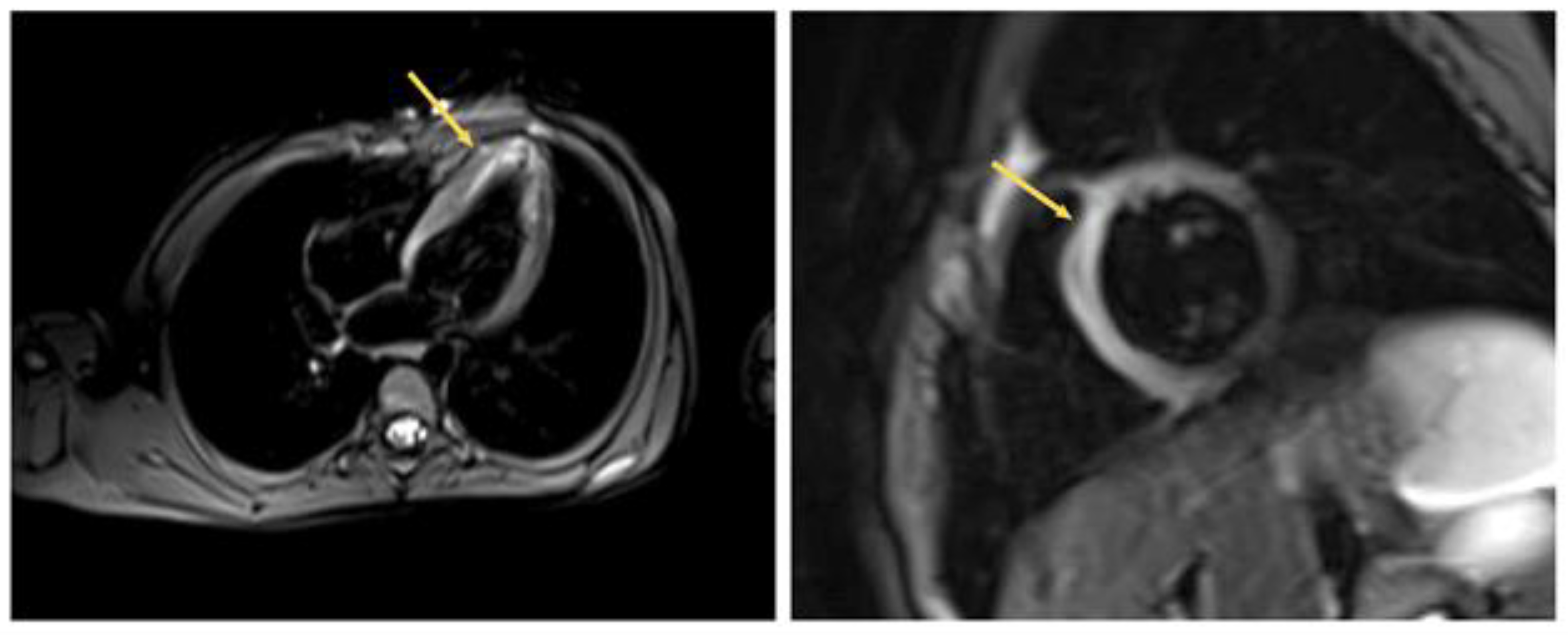 Life 13 00781 g005 Life 13 00781 g005