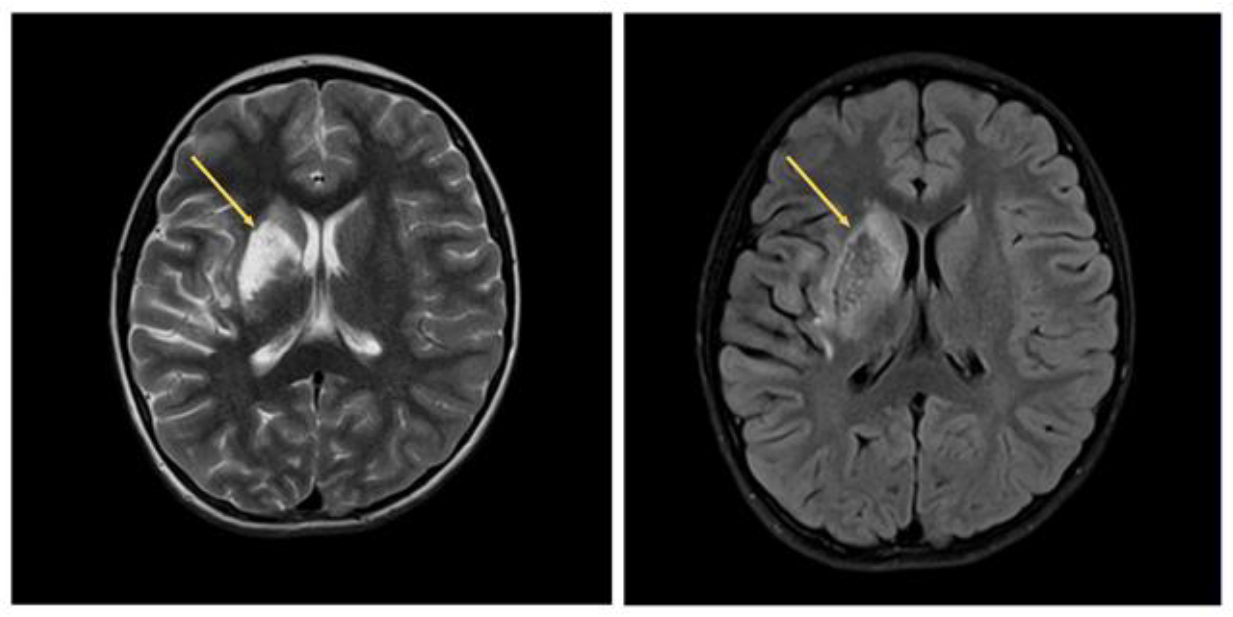 Life 13 00781 g007 Life 13 00781 g007