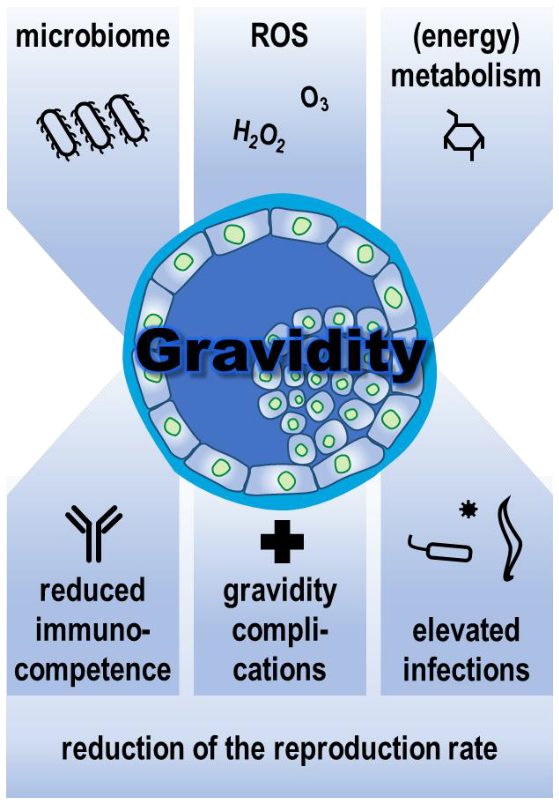 Life 13 00785 g002 Life 13 00785 g002