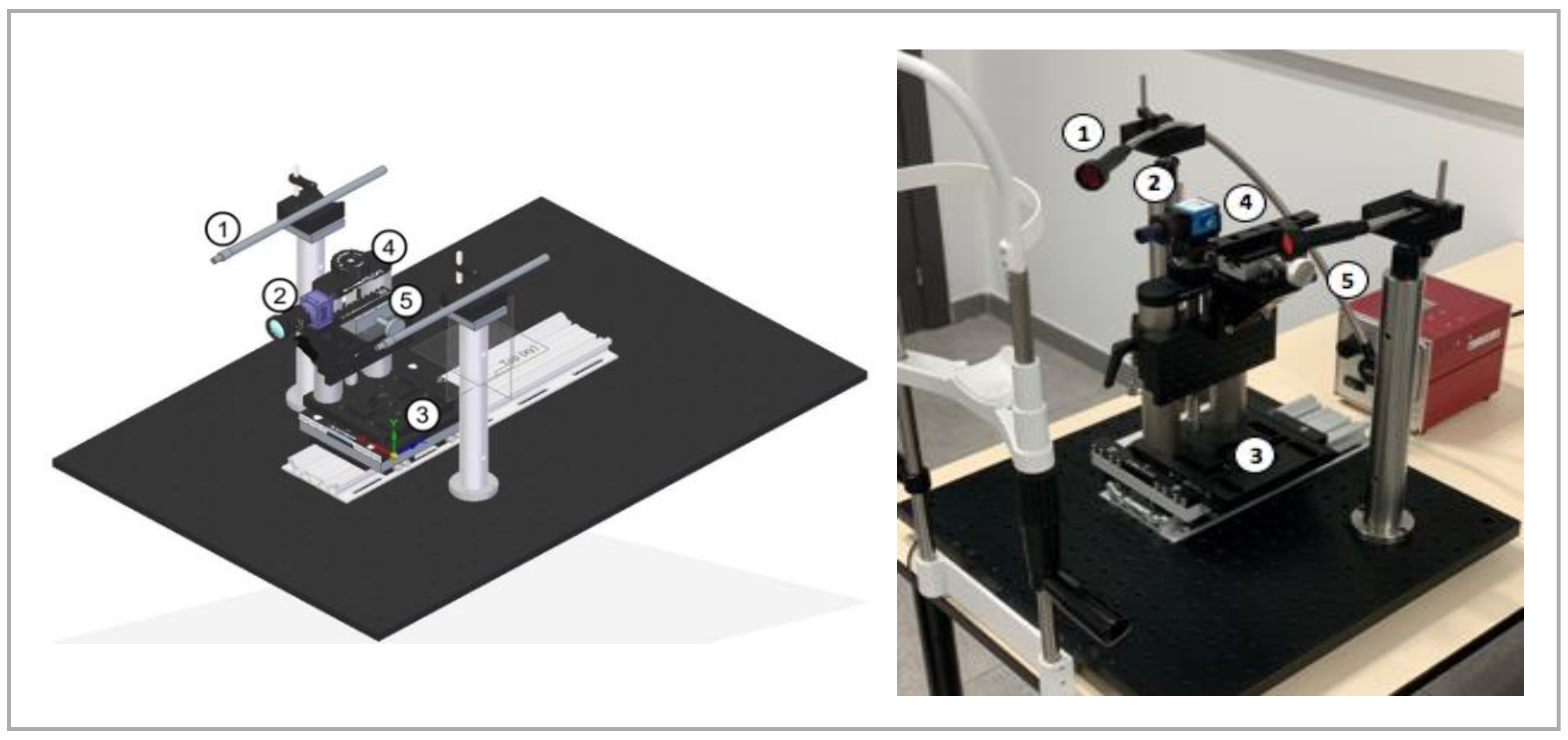 Life 13 00791 g001 Life 13 00791 g001