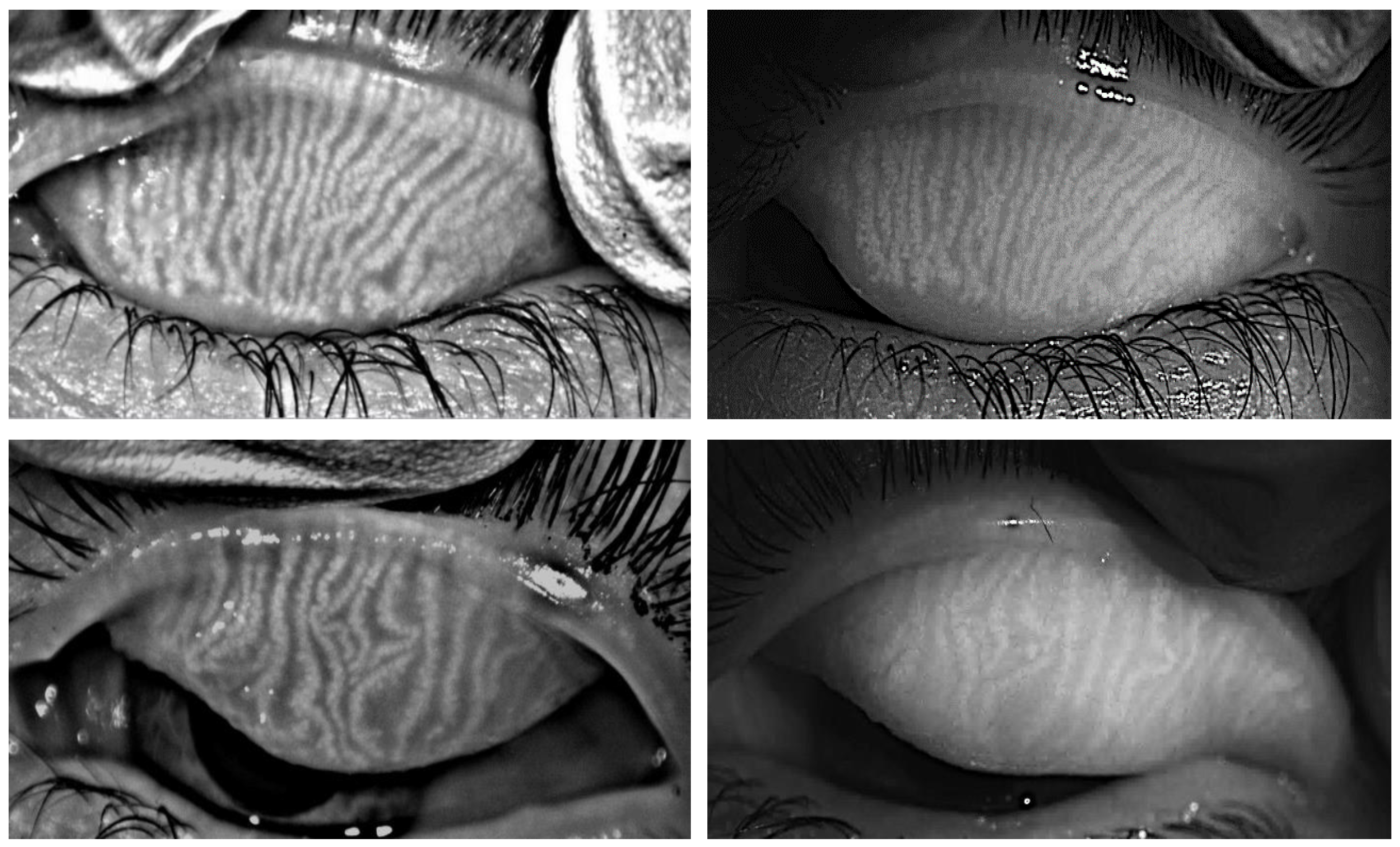 Life 13 00791 g004 Life 13 00791 g004