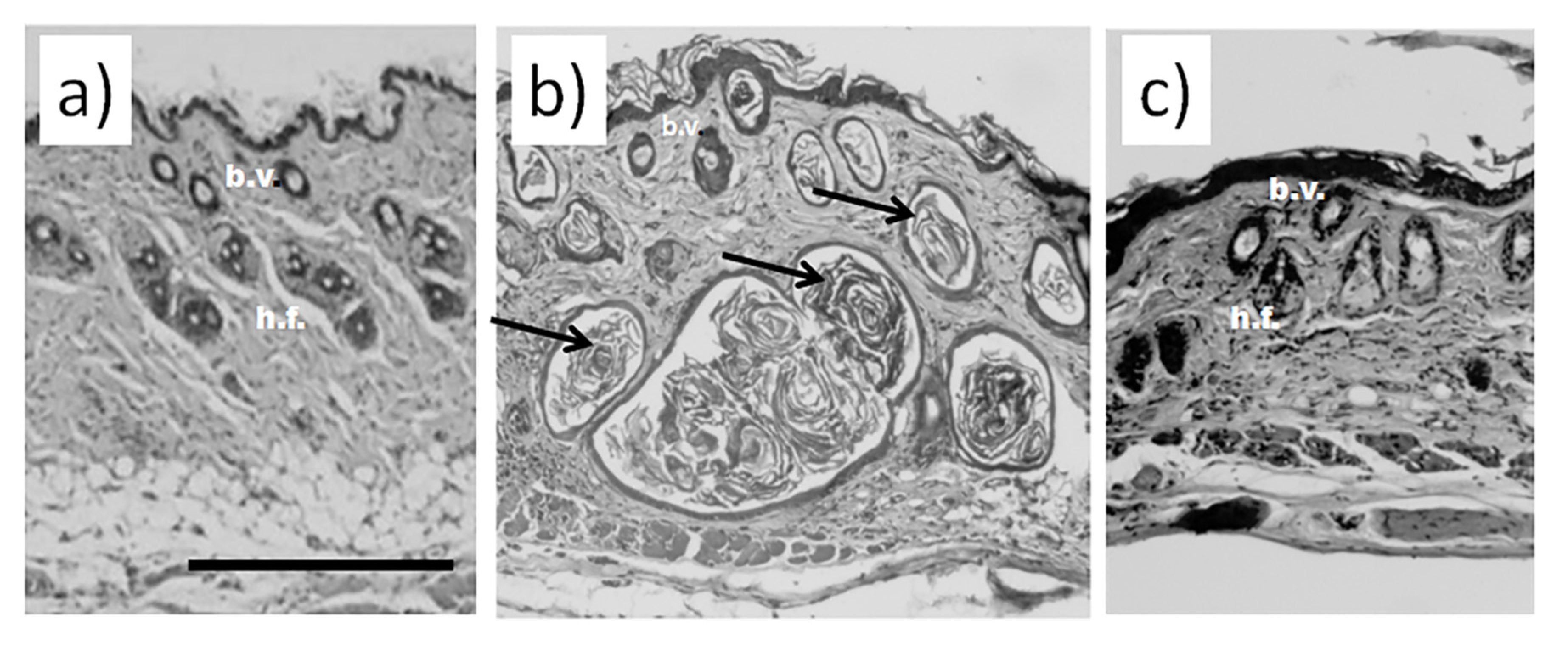 Life 13 00810 g001 Life 13 00810 g001