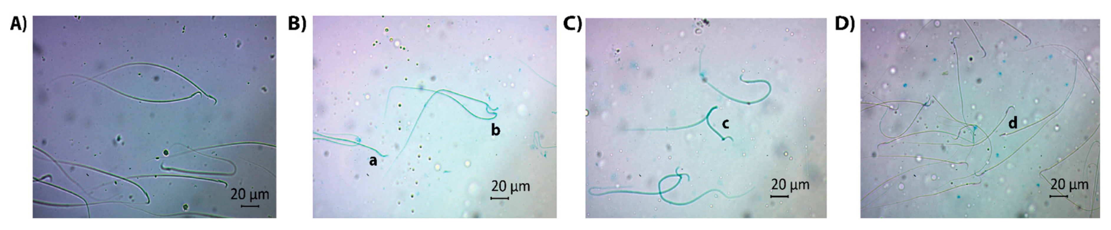 Life 13 00815 g002 Life 13 00815 g002