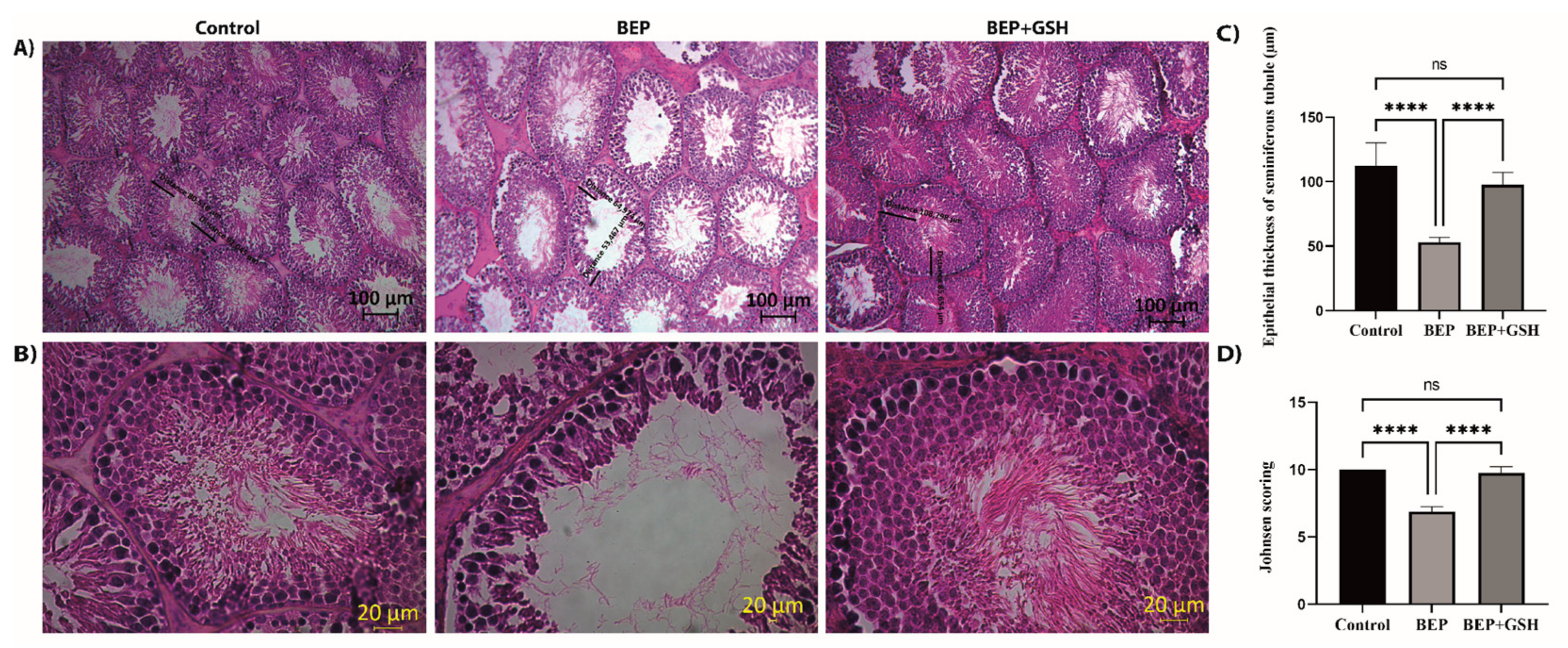 Life 13 00815 g005 Life 13 00815 g005