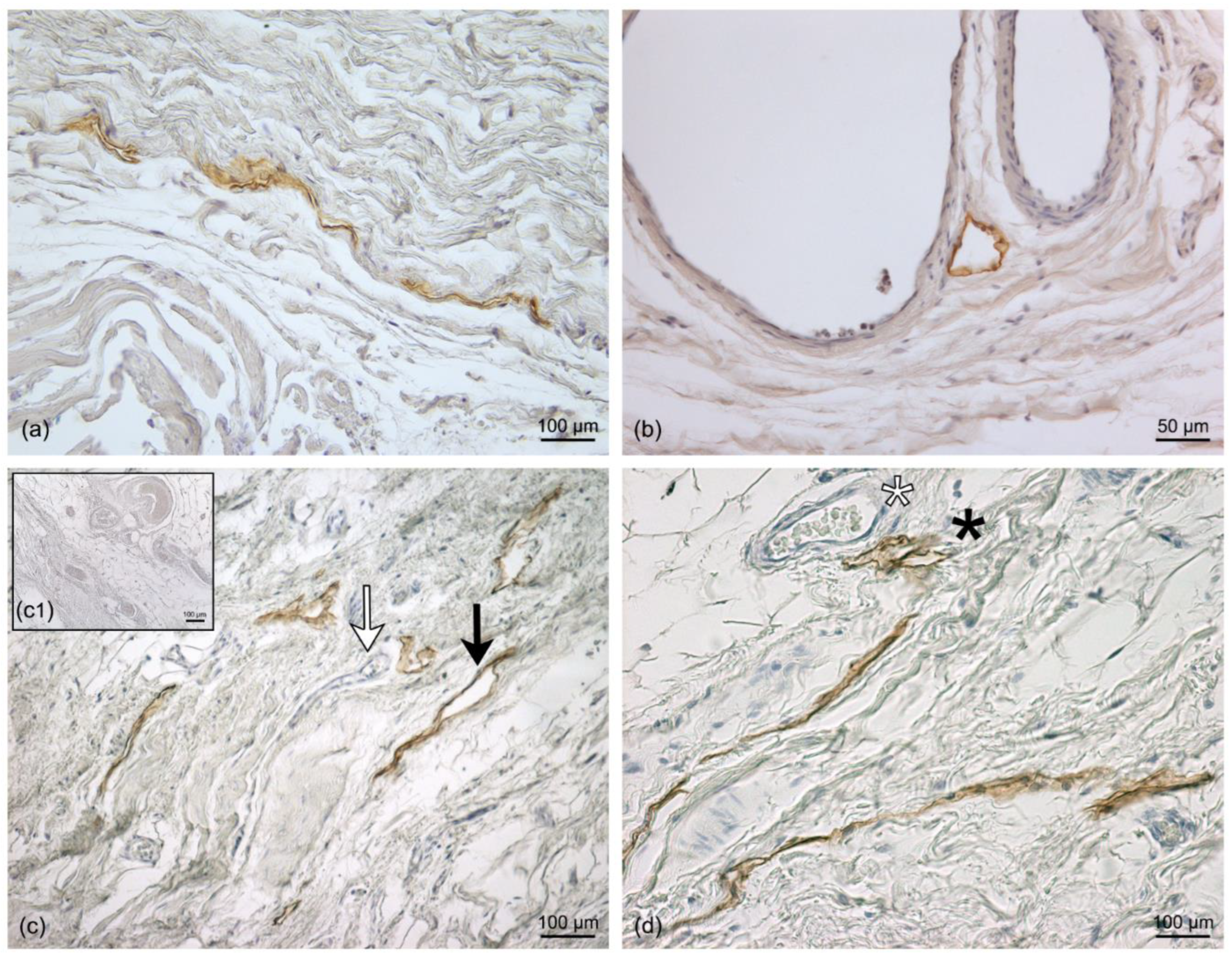 Life 13 00836 g005 Life 13 00836 g005