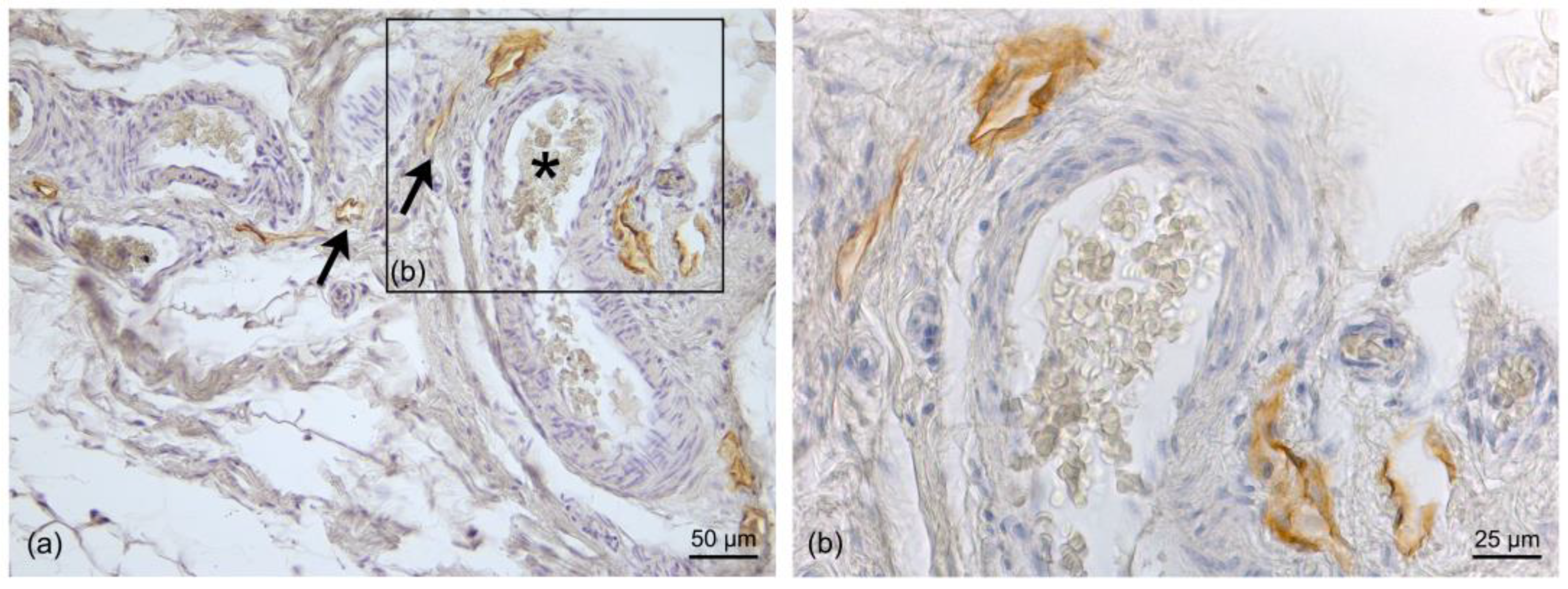 Life 13 00836 g006 Life 13 00836 g006