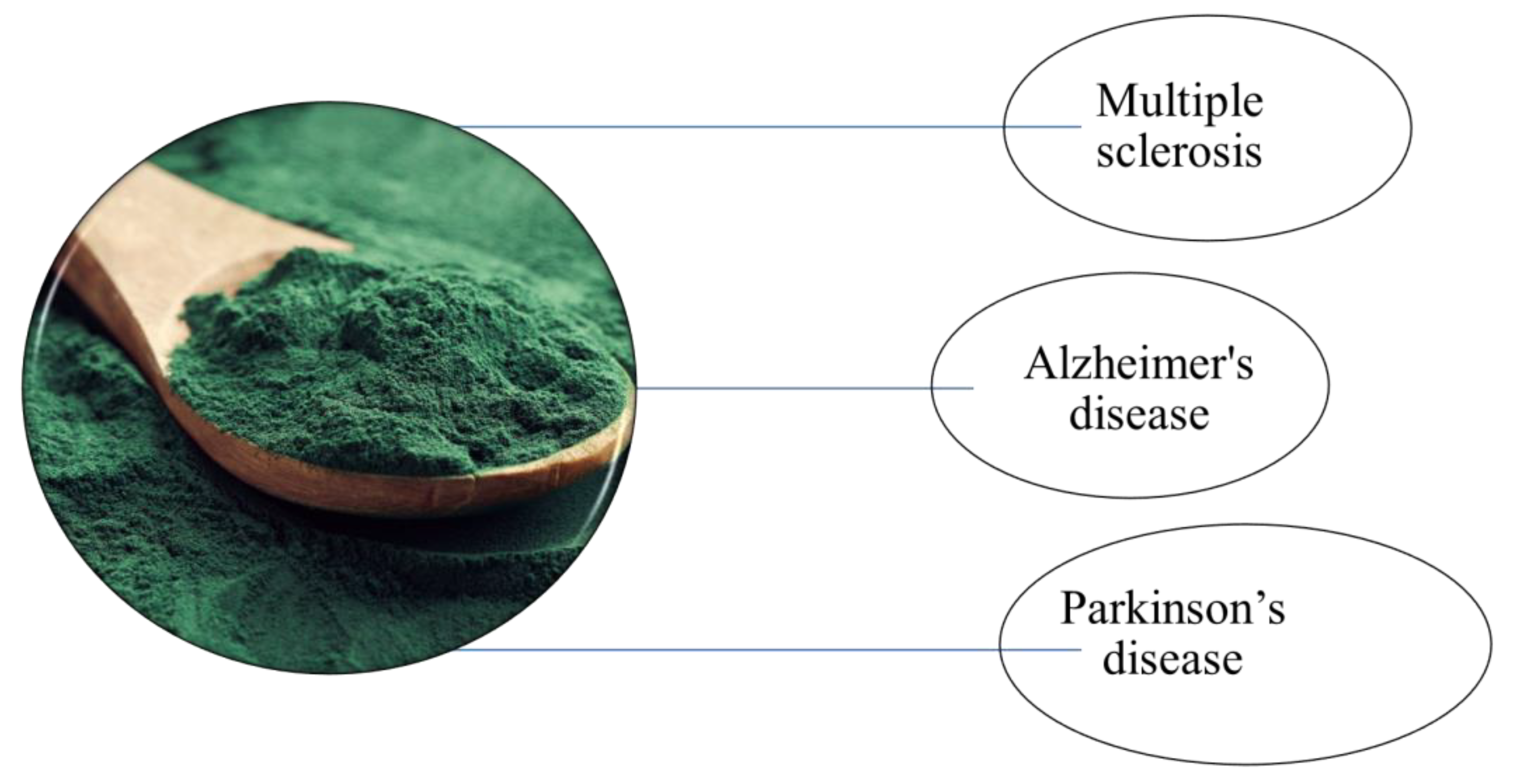 Life 13 00845 g002 Life 13 00845 g002