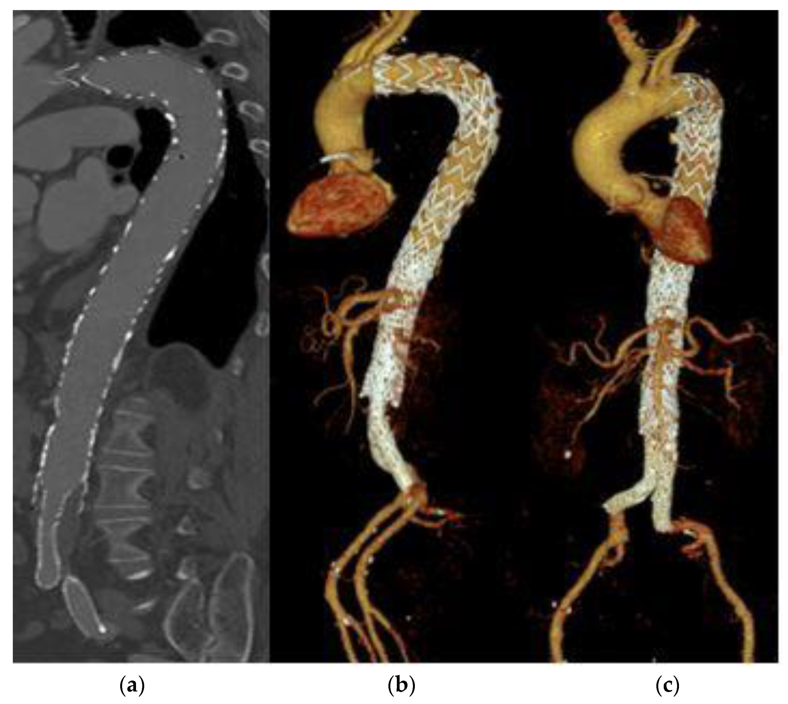 Life 13 00851 g002 Life 13 00851 g002