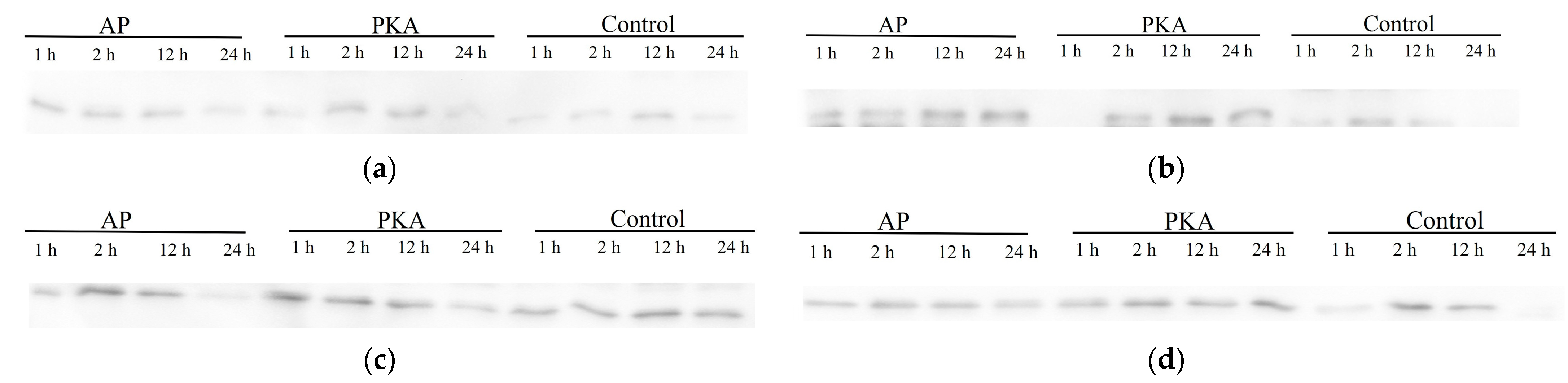 Life 13 00854 g005 Life 13 00854 g005