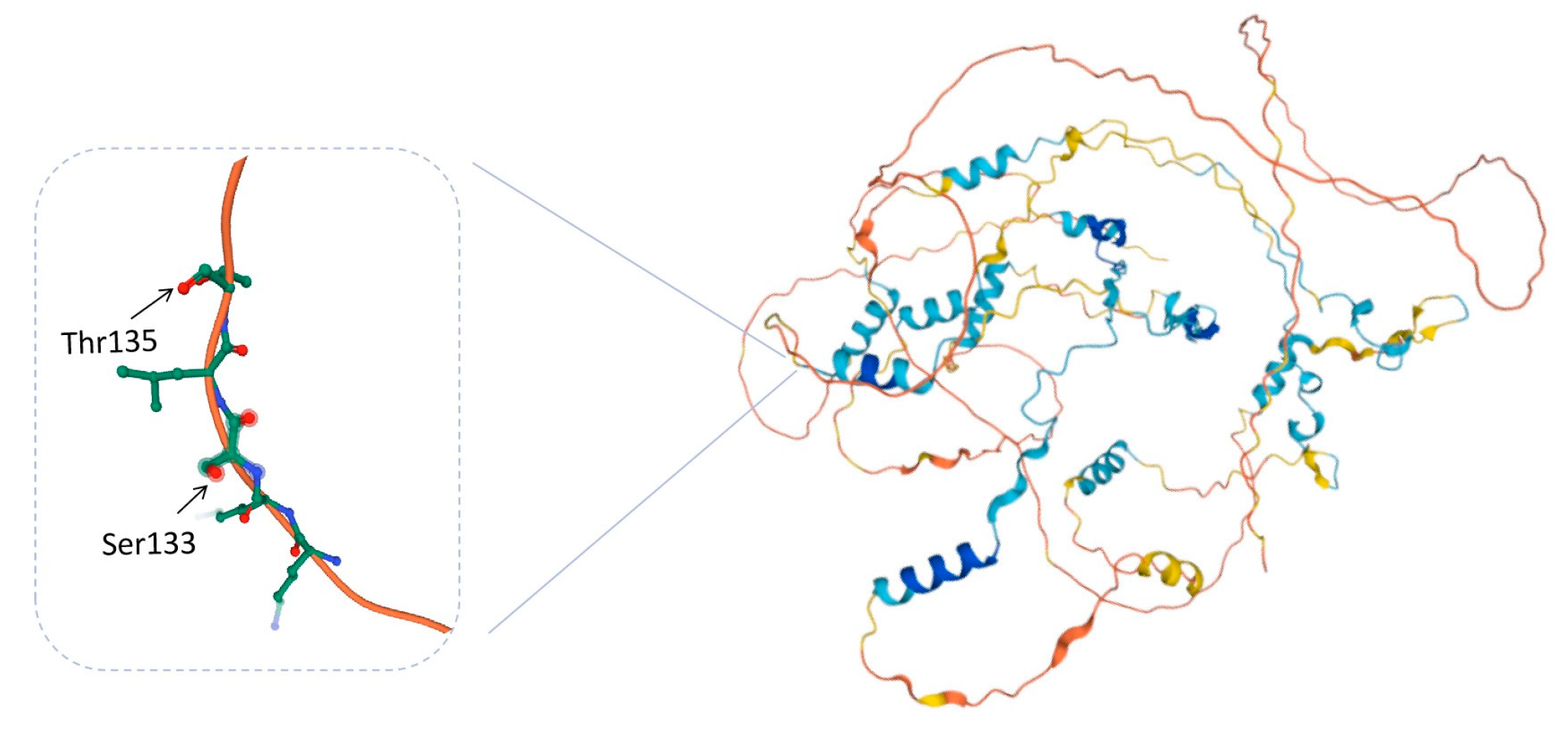 Life 13 00854 g006 Life 13 00854 g006