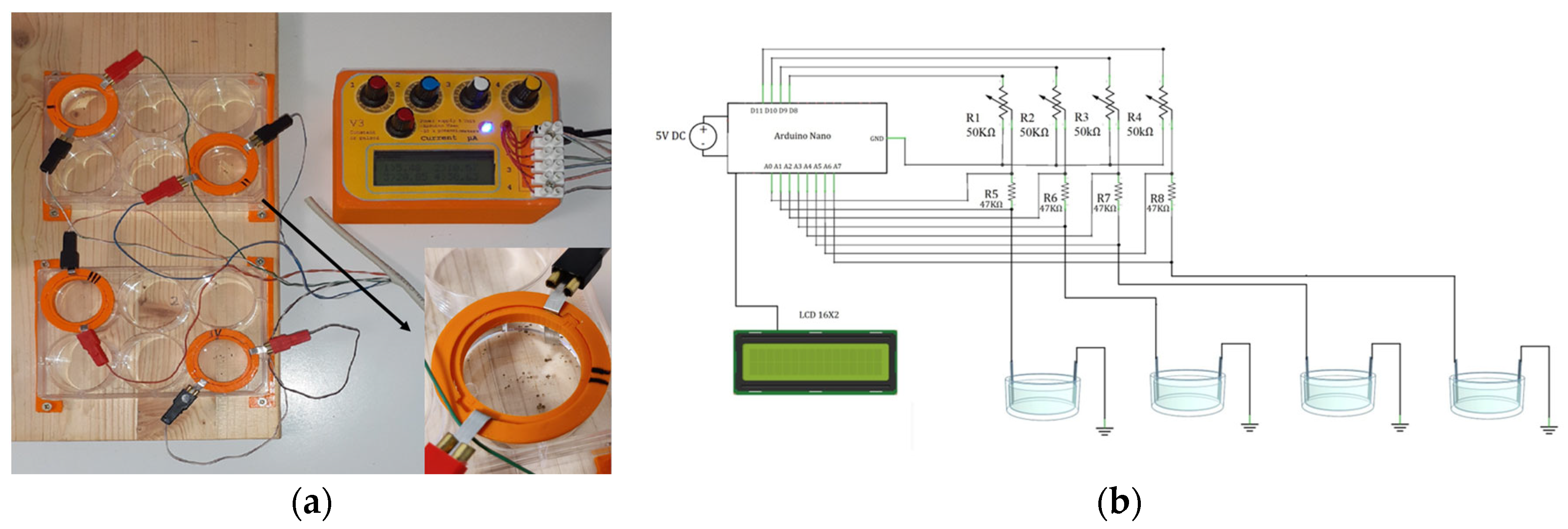 Life 13 00862 g001 Life 13 00862 g001
