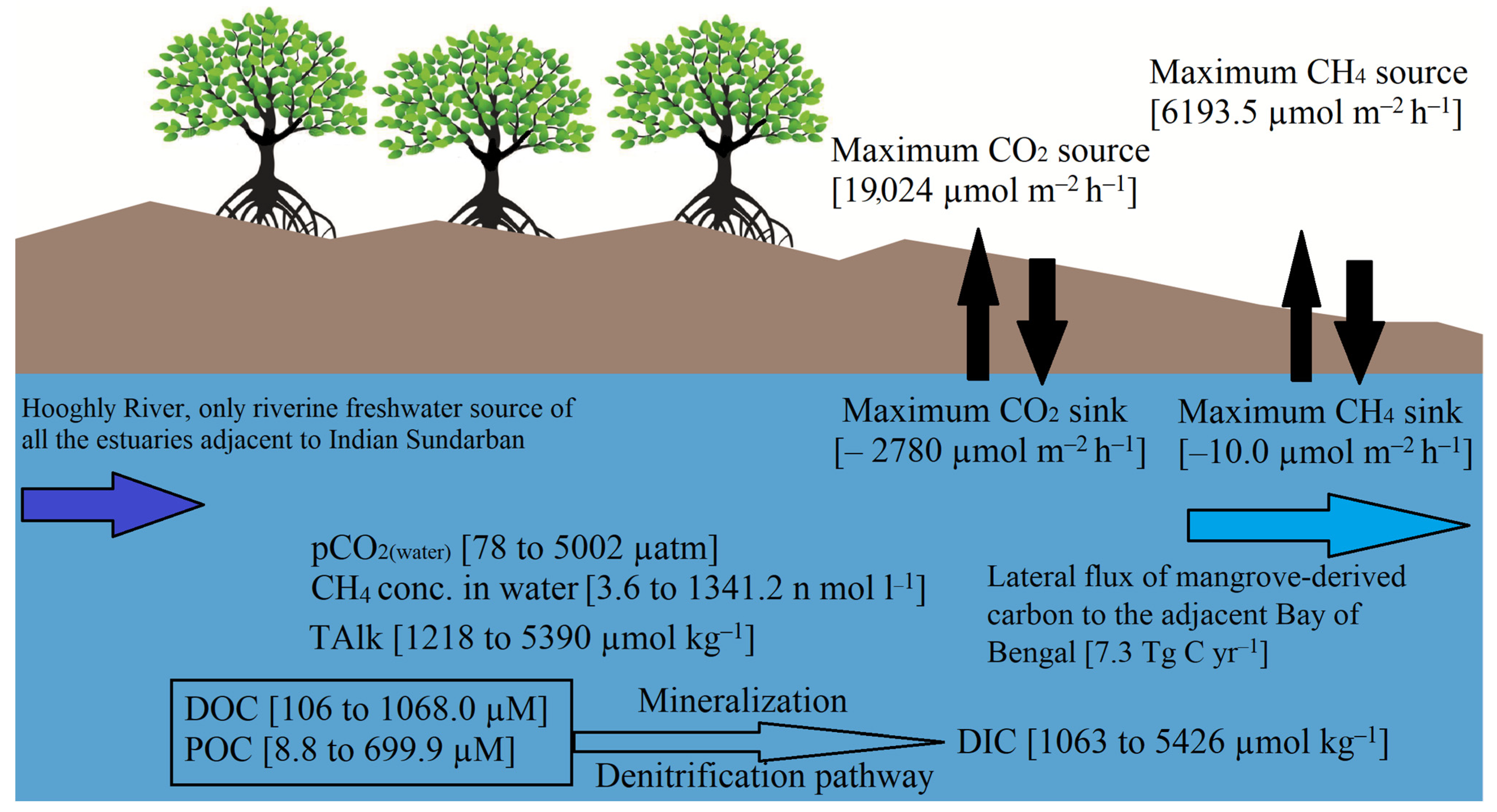 Life 13 00863 g002 Life 13 00863 g002