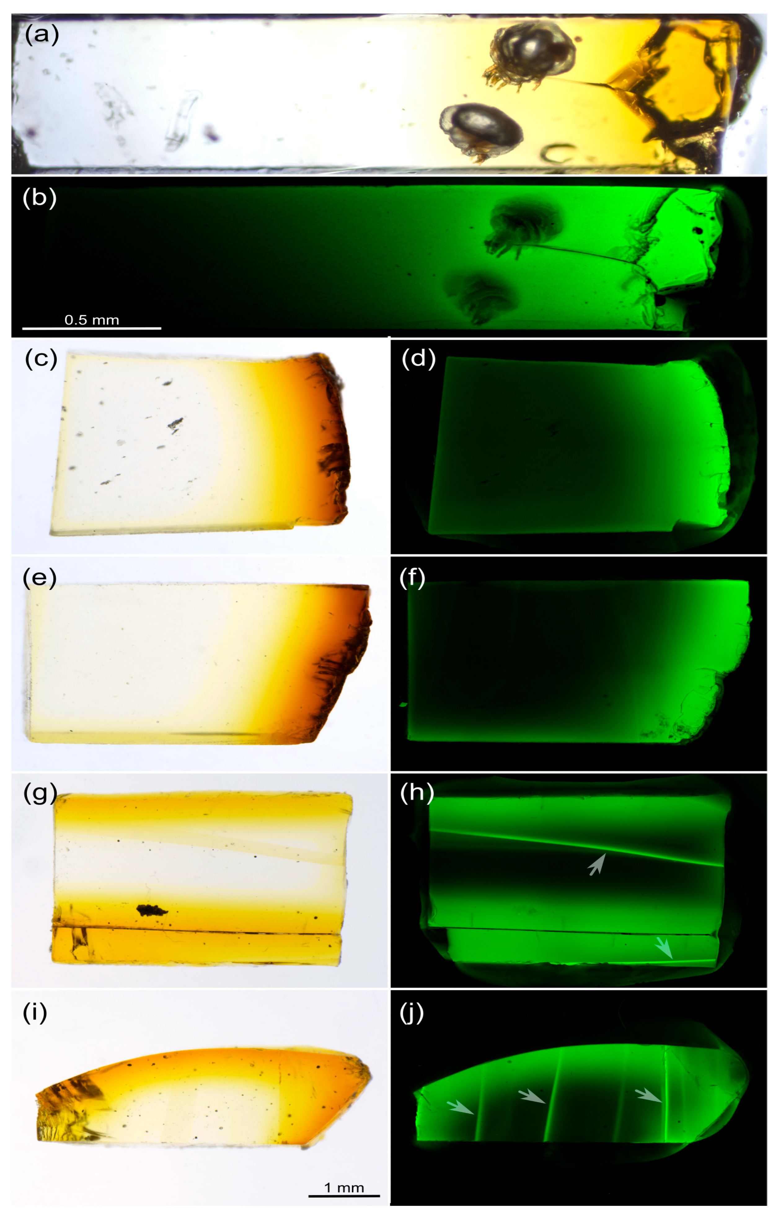 Life 13 00865 g002 Life 13 00865 g002