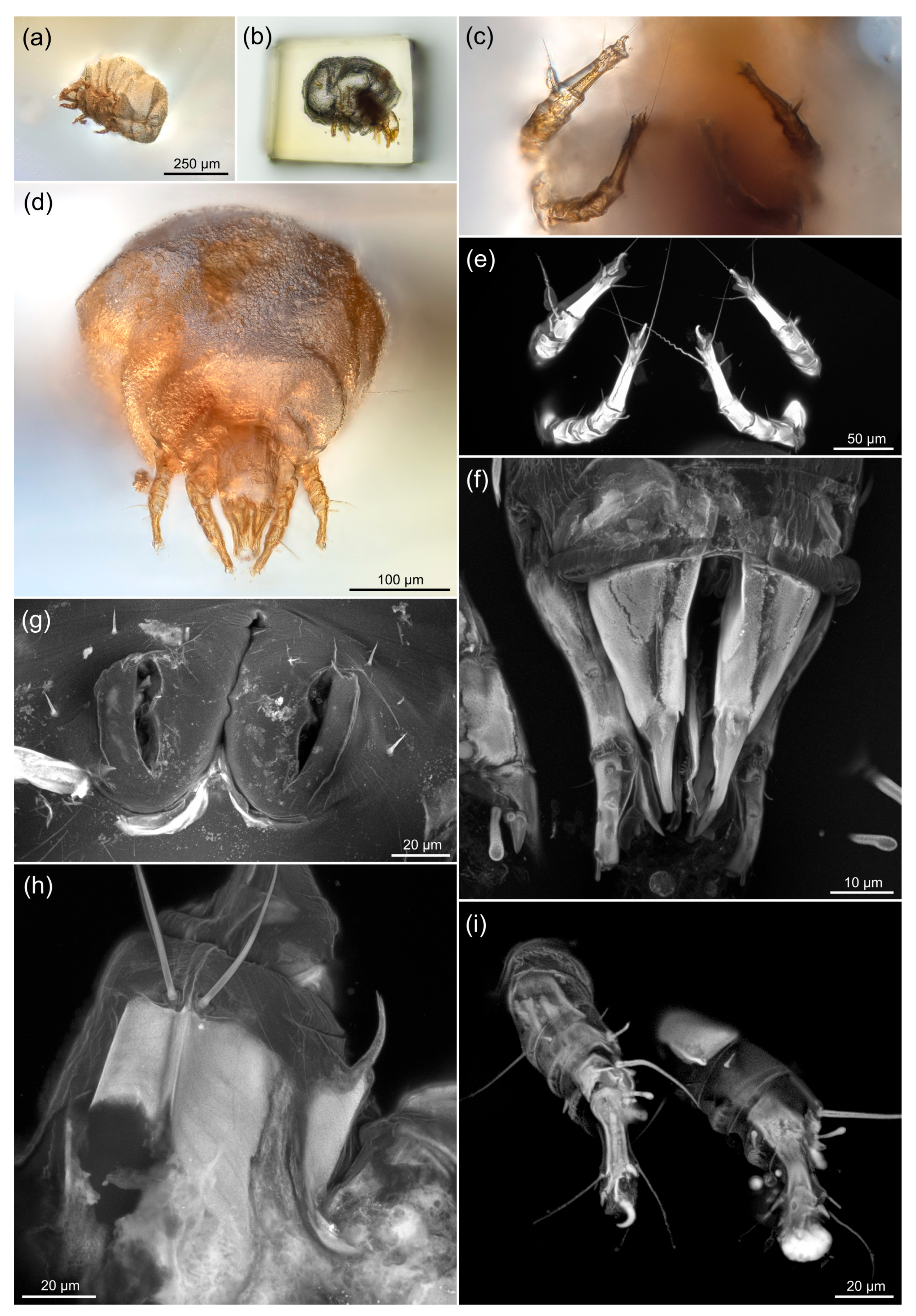 Life 13 00865 g003 Life 13 00865 g003