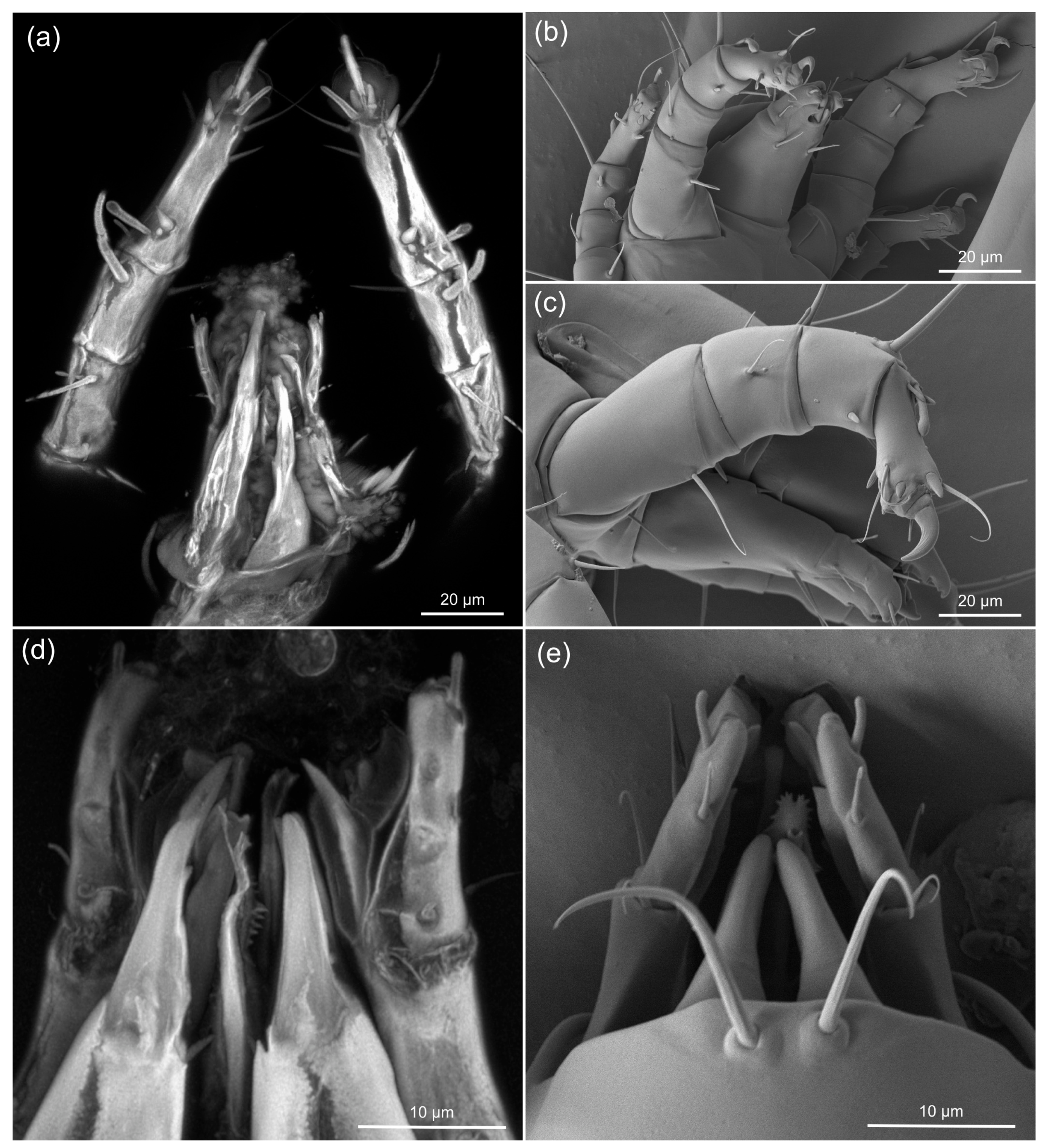 Life 13 00865 g005 Life 13 00865 g005