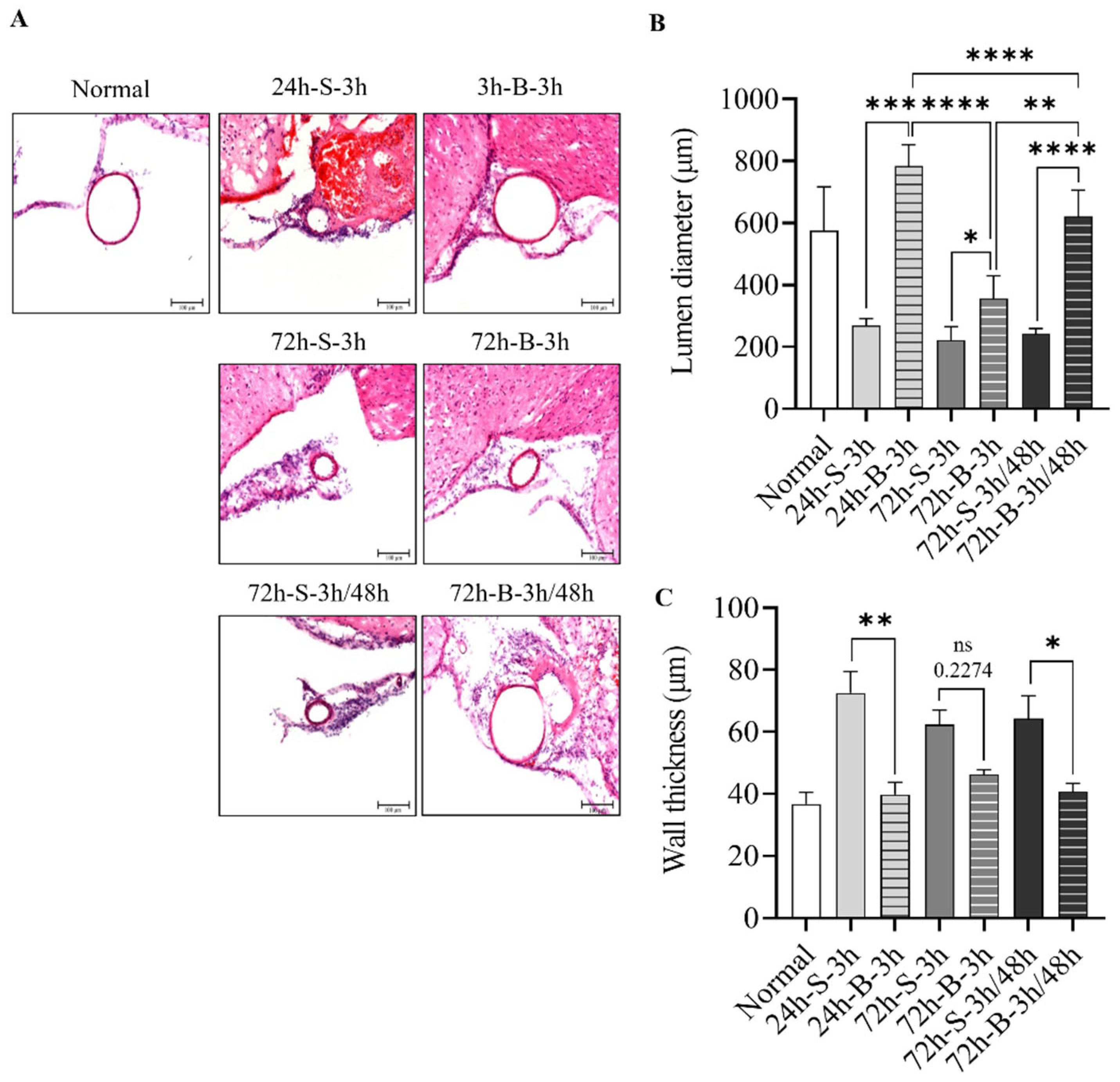 Life 13 00881 g002 Life 13 00881 g002