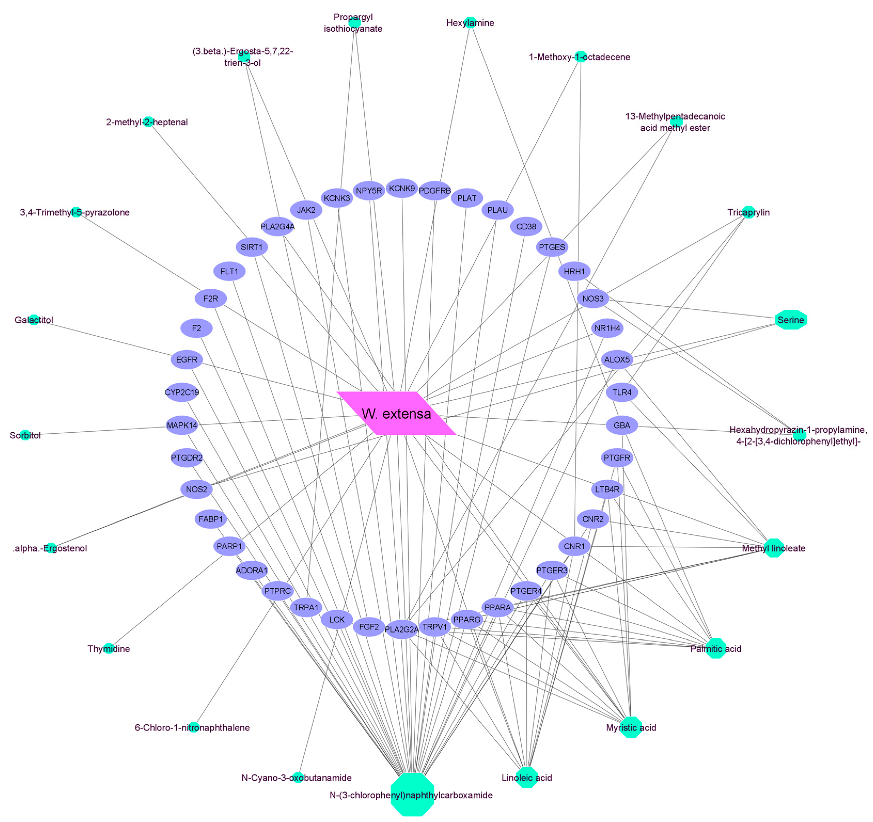 Life 13 00893 g003 Life 13 00893 g003