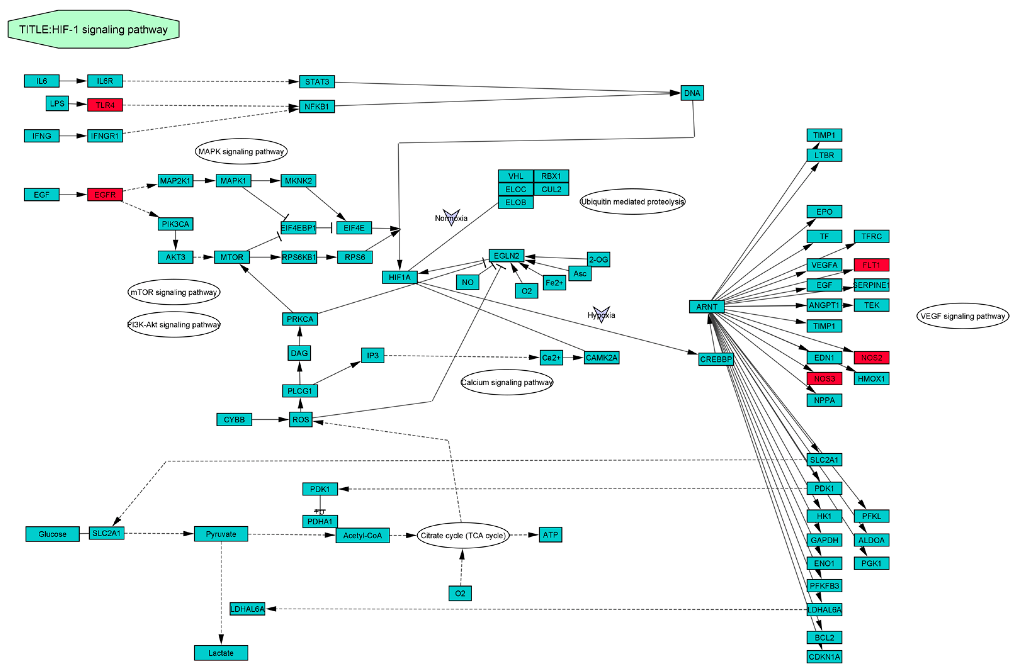 Life 13 00893 g006 Life 13 00893 g006