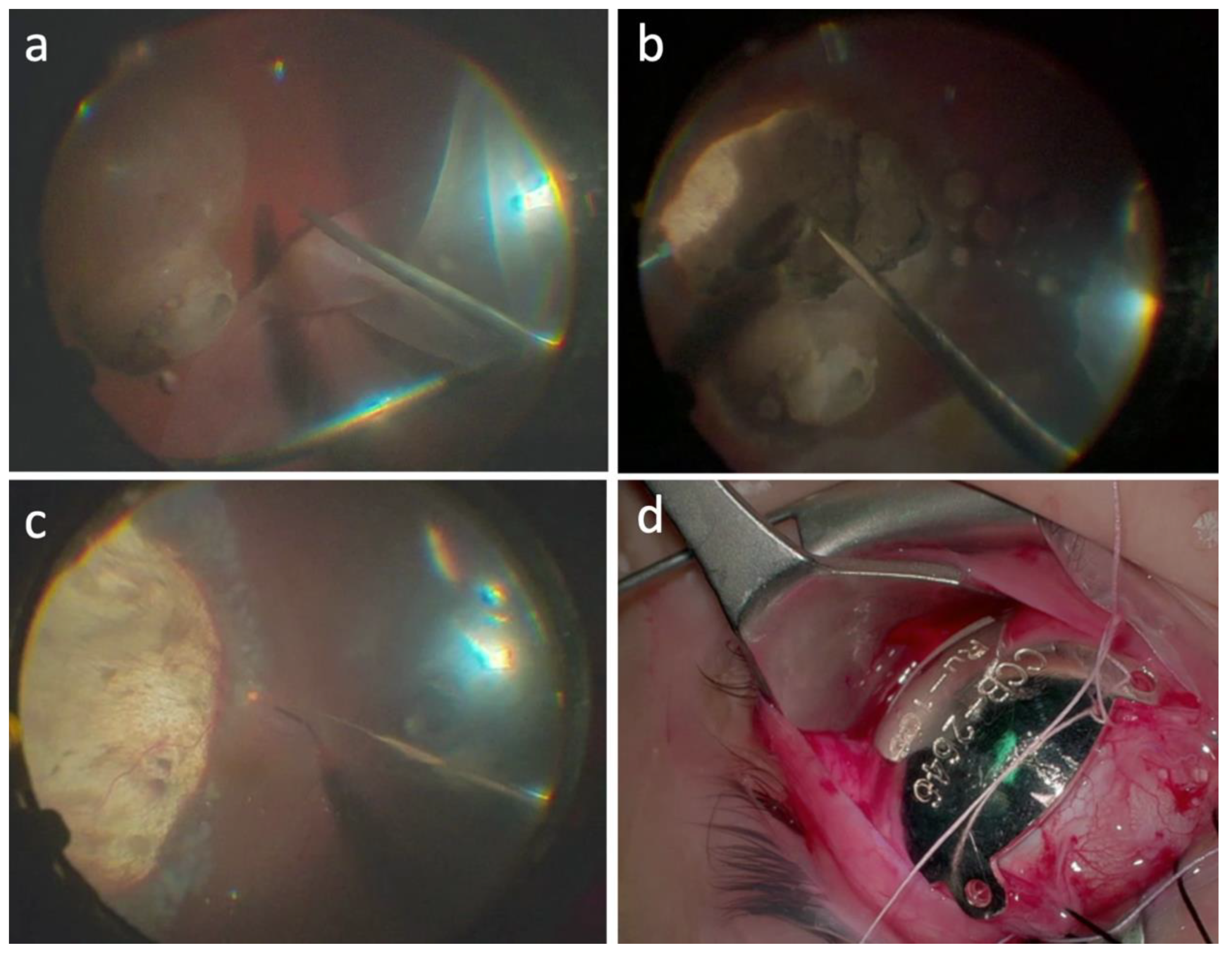 Life 13 00902 g001 Life 13 00902 g001