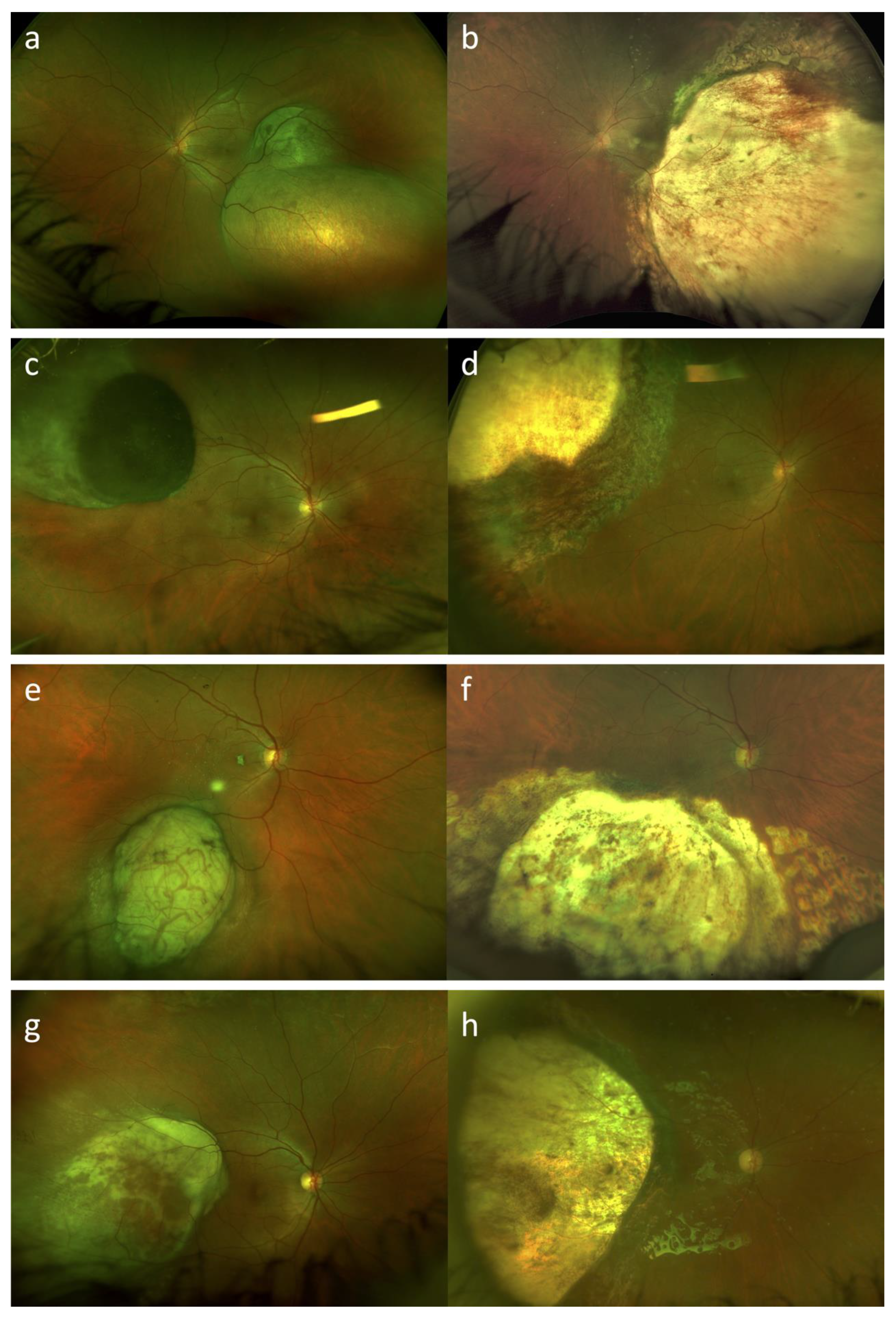 Life 13 00902 g002 Life 13 00902 g002