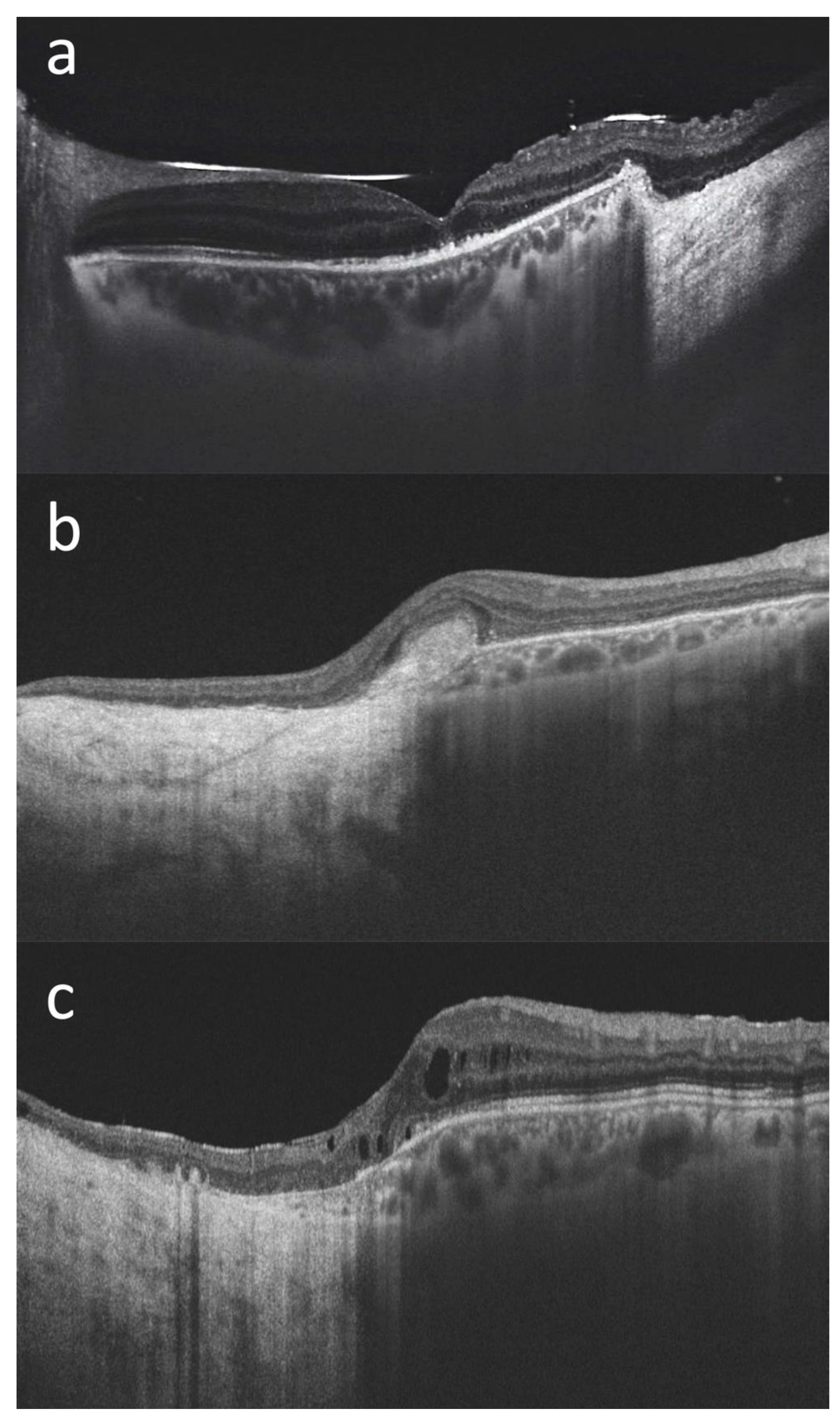 Life 13 00902 g003 Life 13 00902 g003