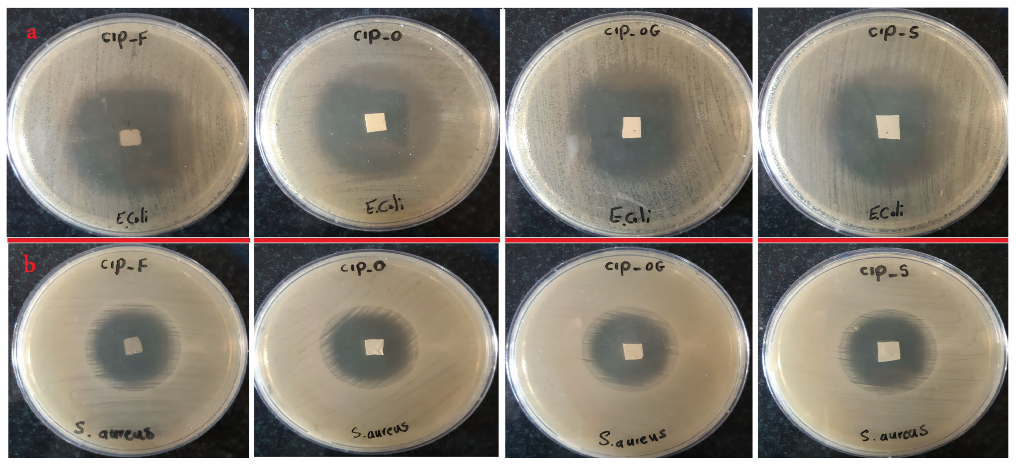 Life 13 00913 g002 Life 13 00913 g002