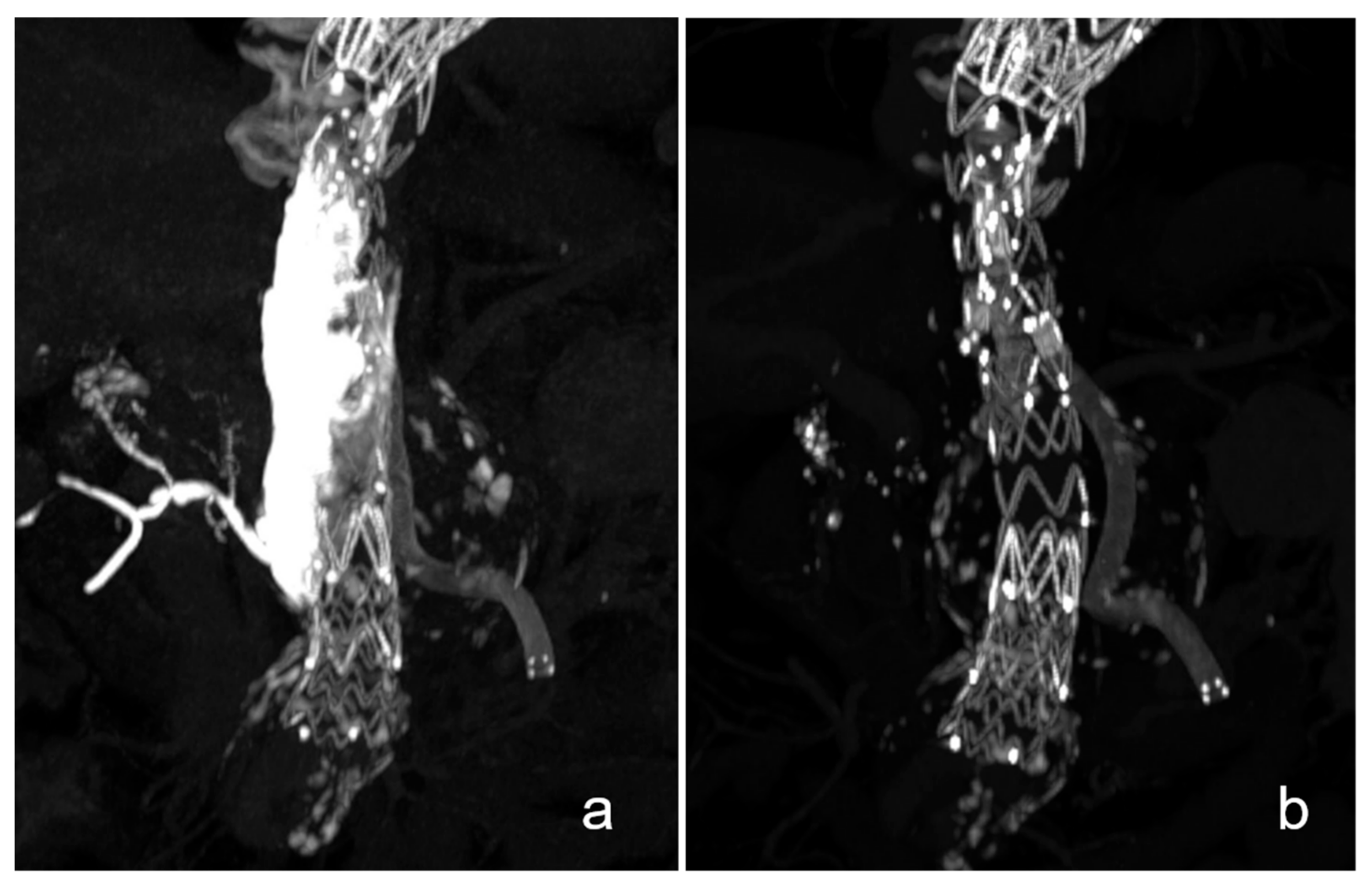 Life 13 00919 g002 Life 13 00919 g002