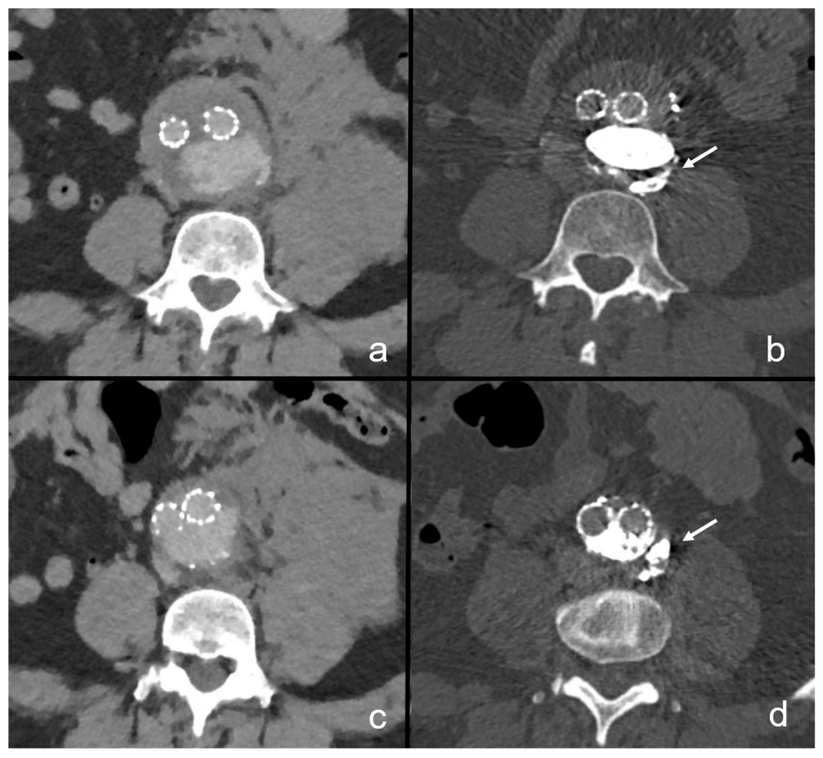 Life 13 00919 g004 Life 13 00919 g004