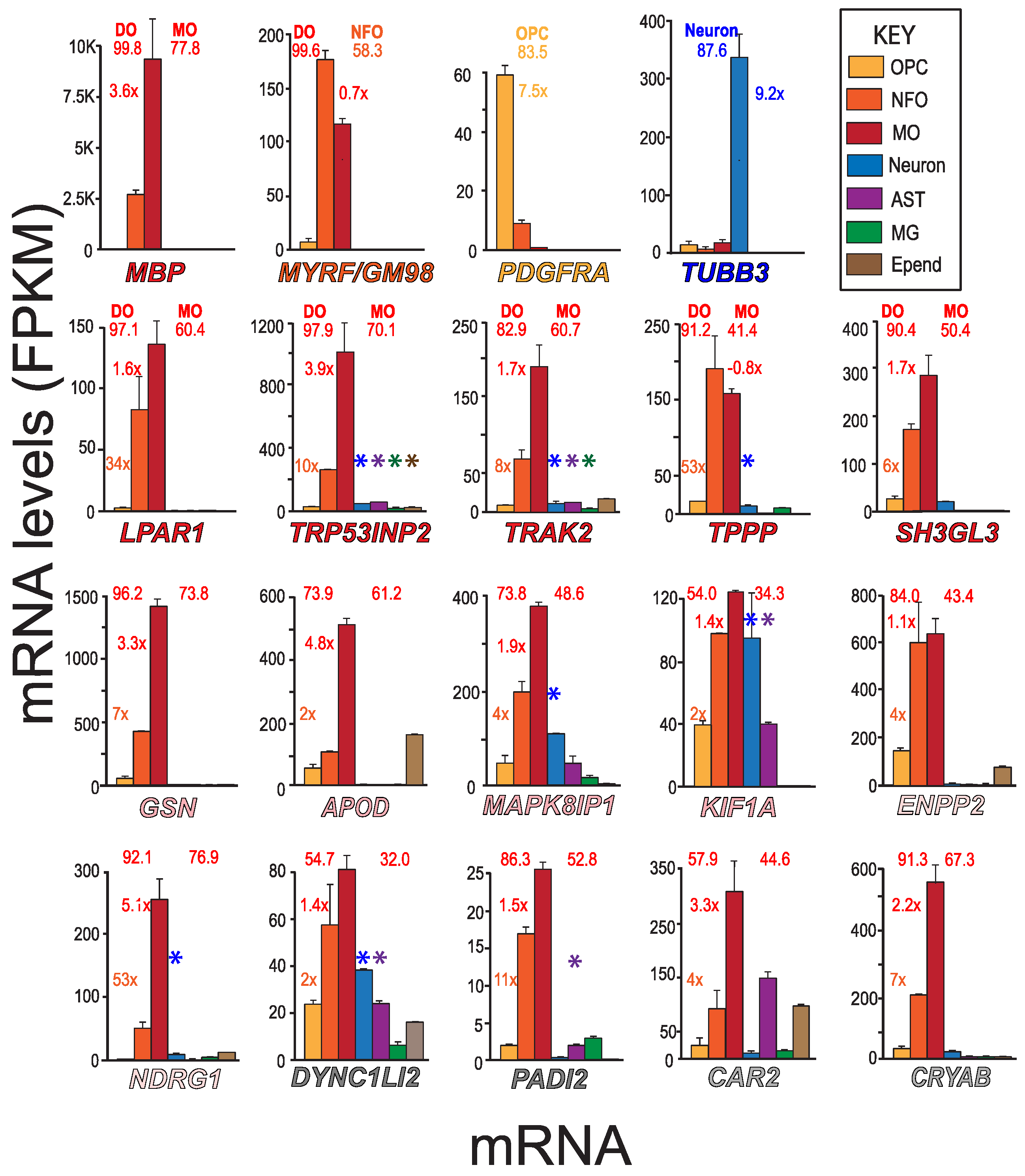 Life 13 00945 g002 Life 13 00945 g002