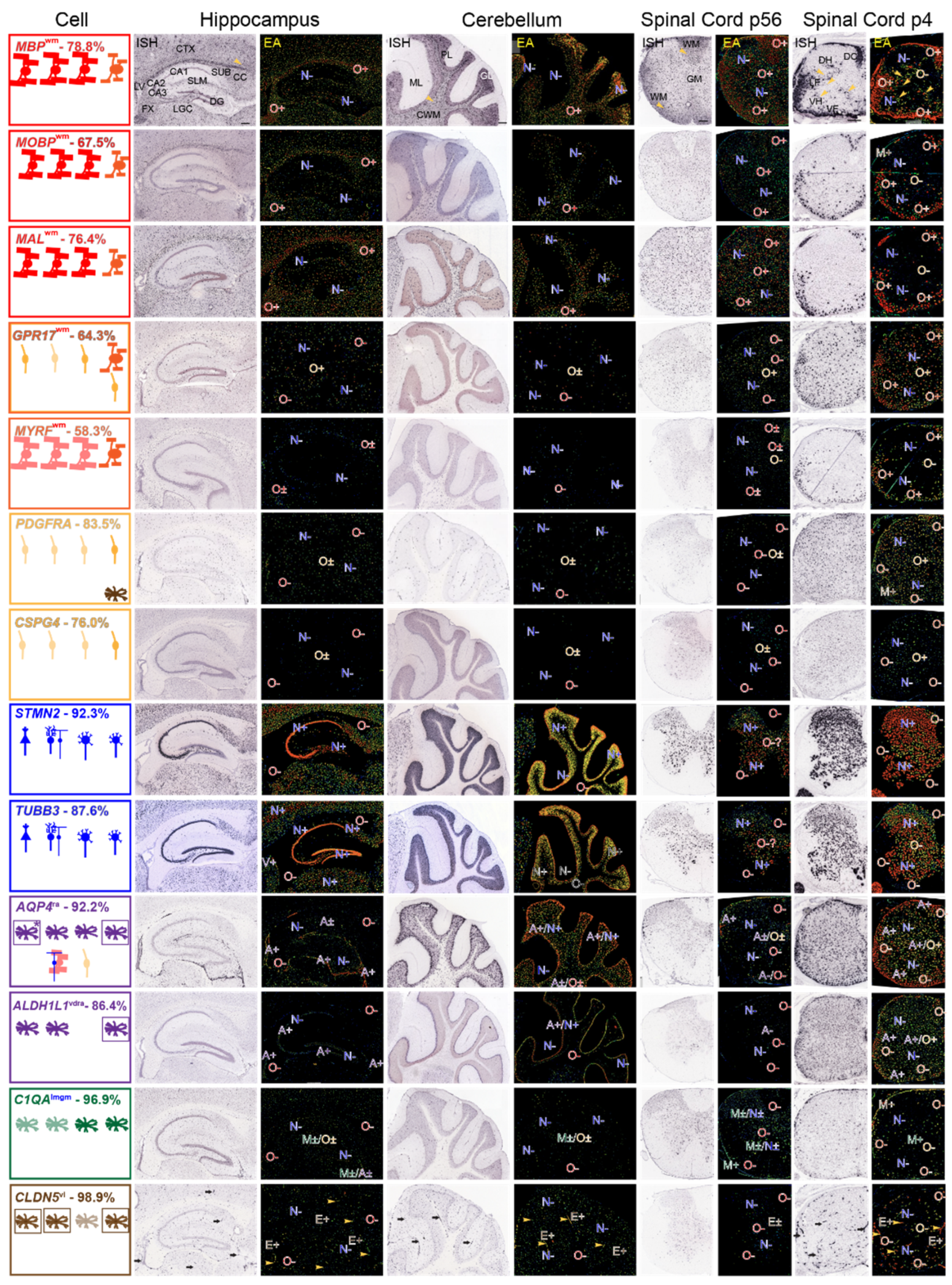 Life 13 00945 g003 Life 13 00945 g003