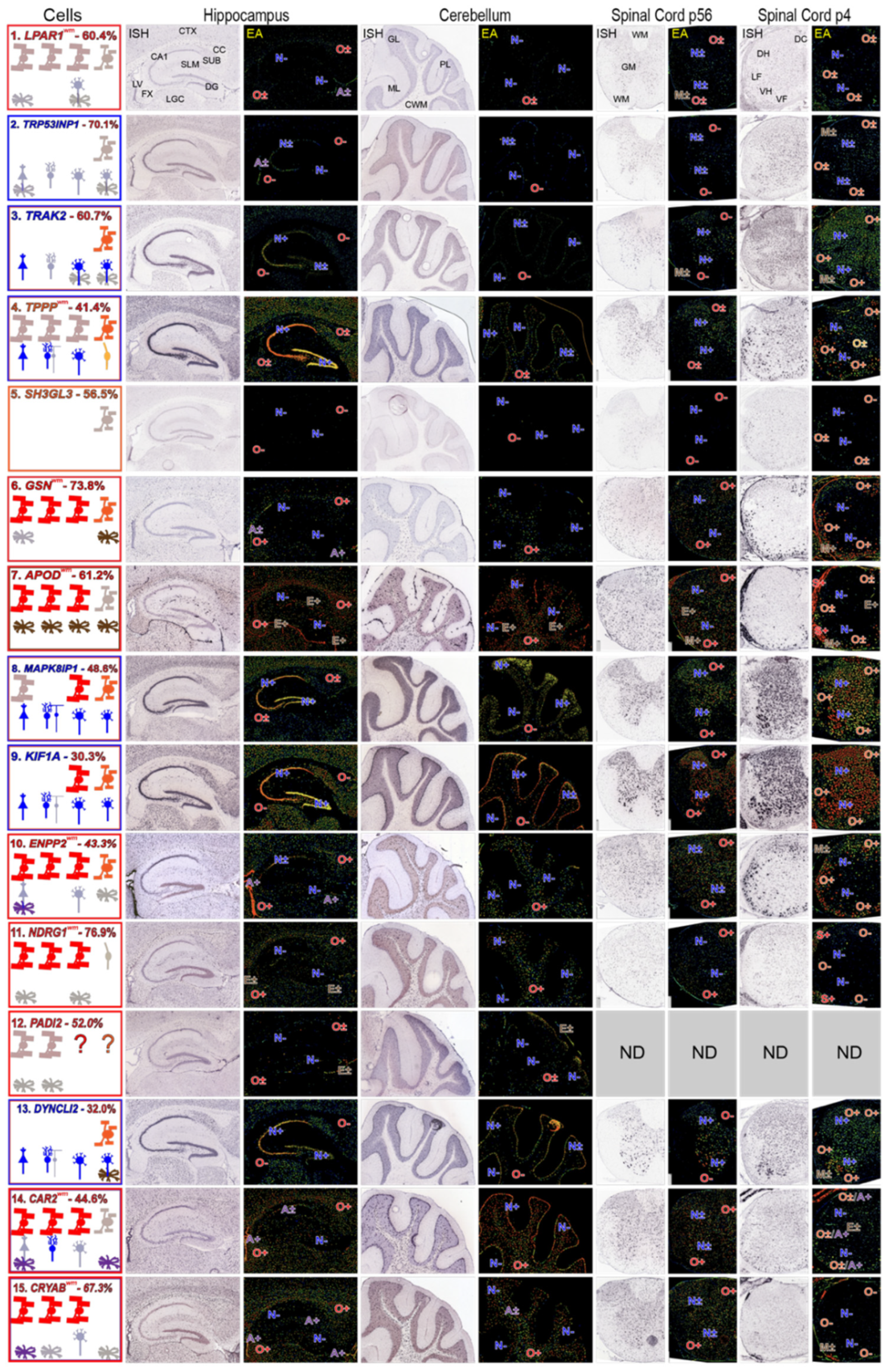 Life 13 00945 g004 Life 13 00945 g004