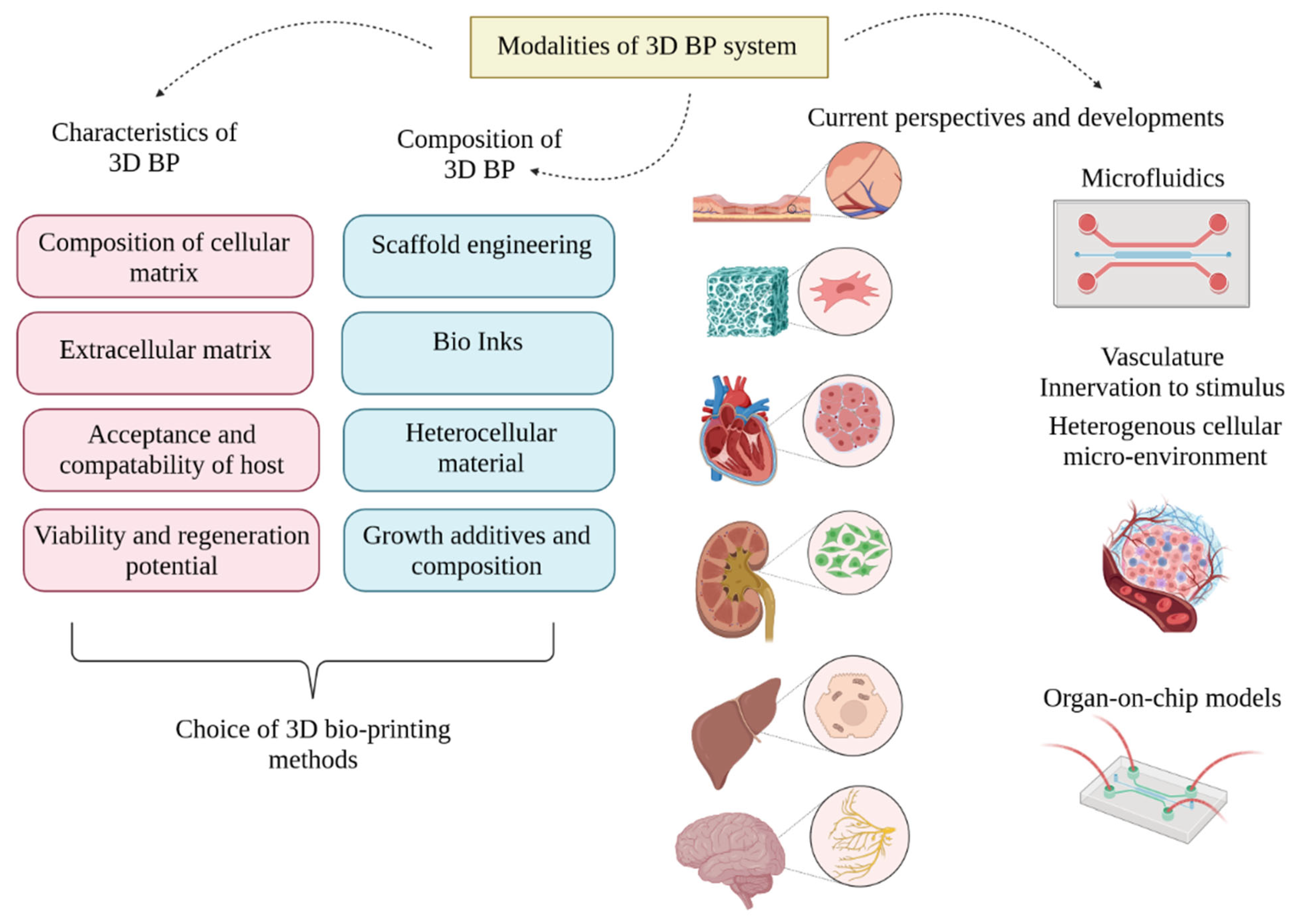 Life 13 00954 g002 Life 13 00954 g002