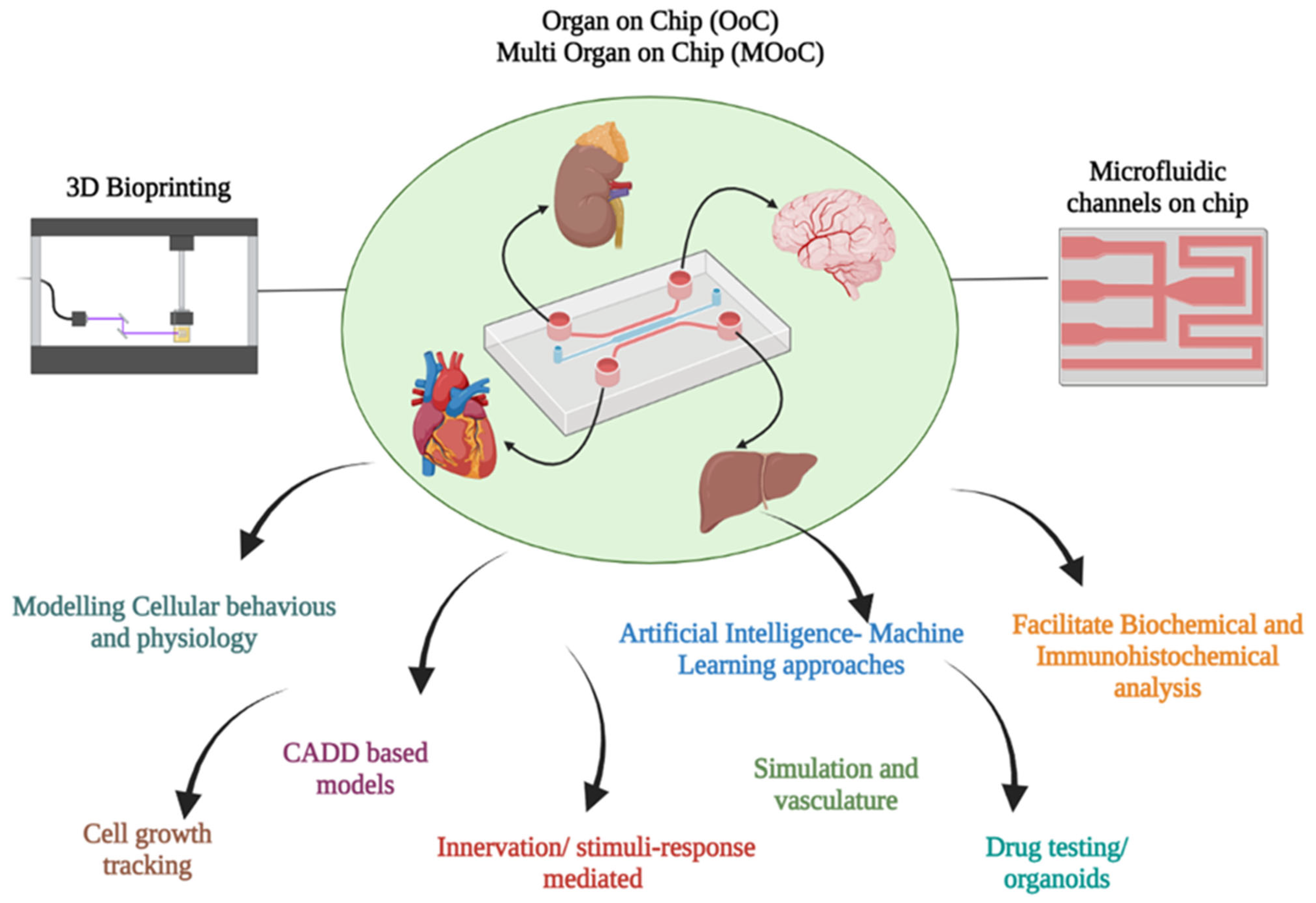 Life 13 00954 g004 Life 13 00954 g004