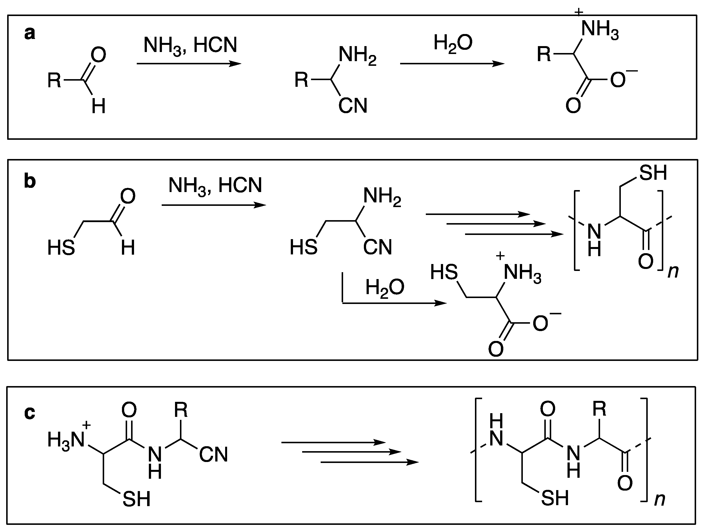 Life 13 00983 sch001