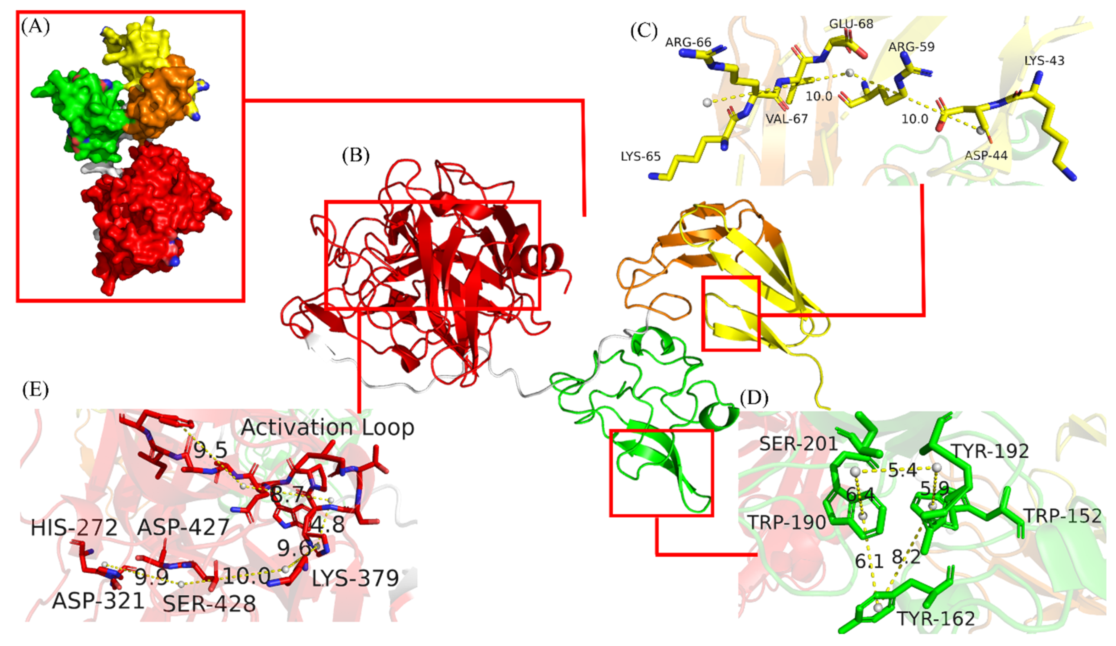 Life 13 00985 g002 Life 13 00985 g002