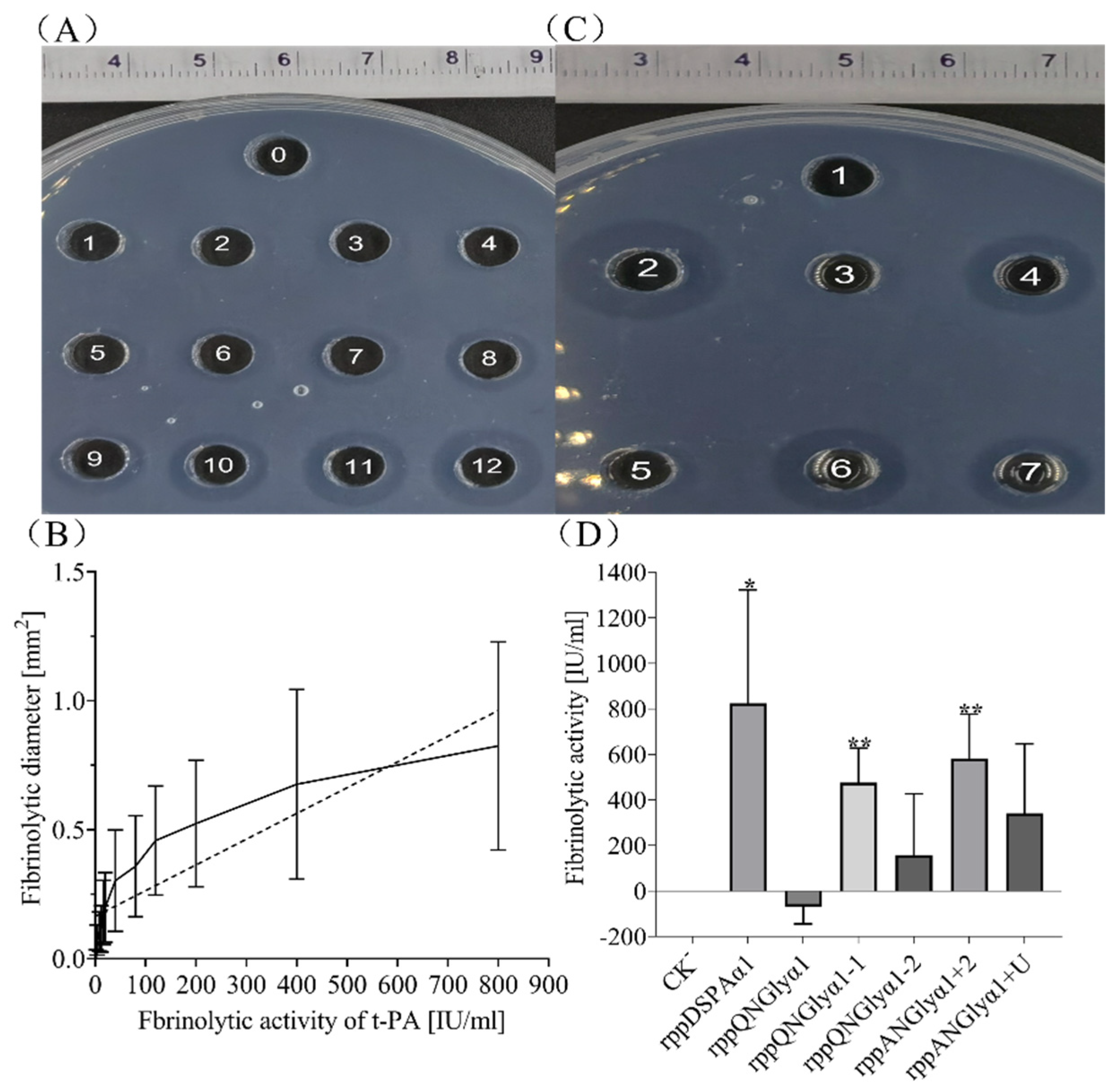 Life 13 00985 g007 Life 13 00985 g007