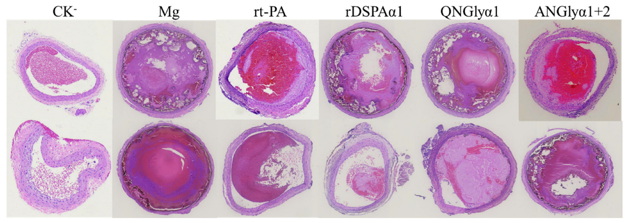 Life 13 00985 g008 Life 13 00985 g008