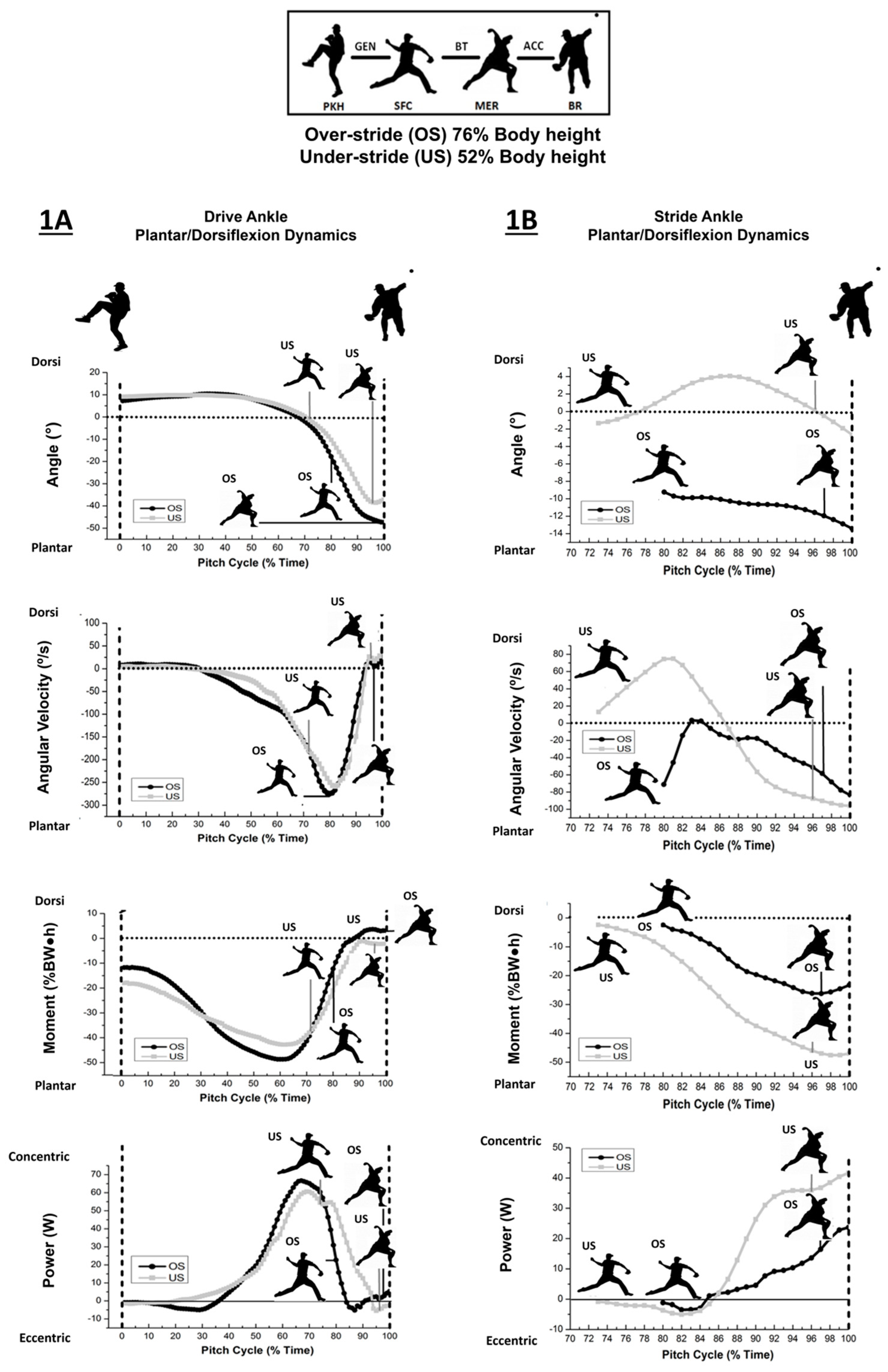 Life 13 00986 g001 Life 13 00986 g001