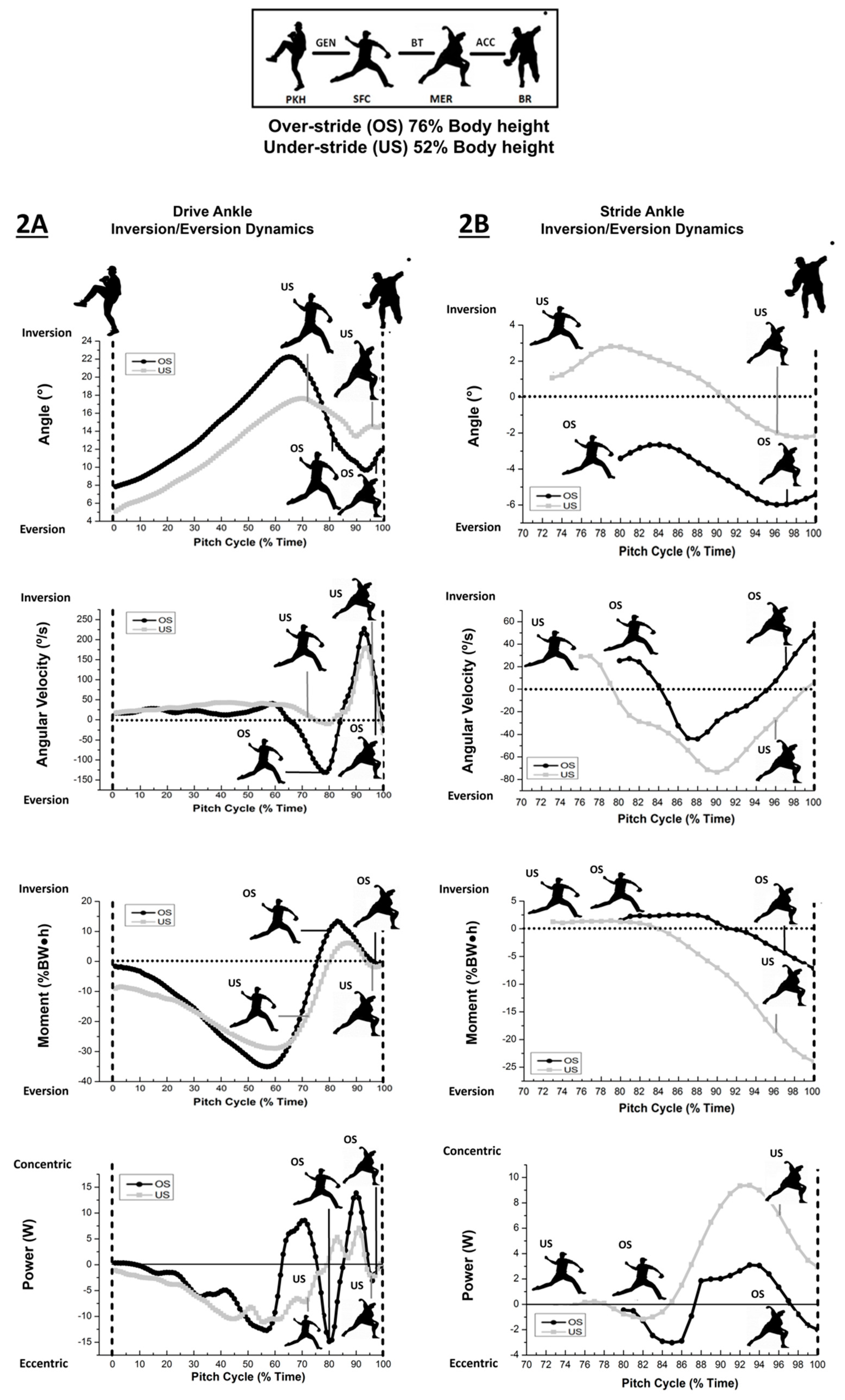 Life 13 00986 g002 Life 13 00986 g002